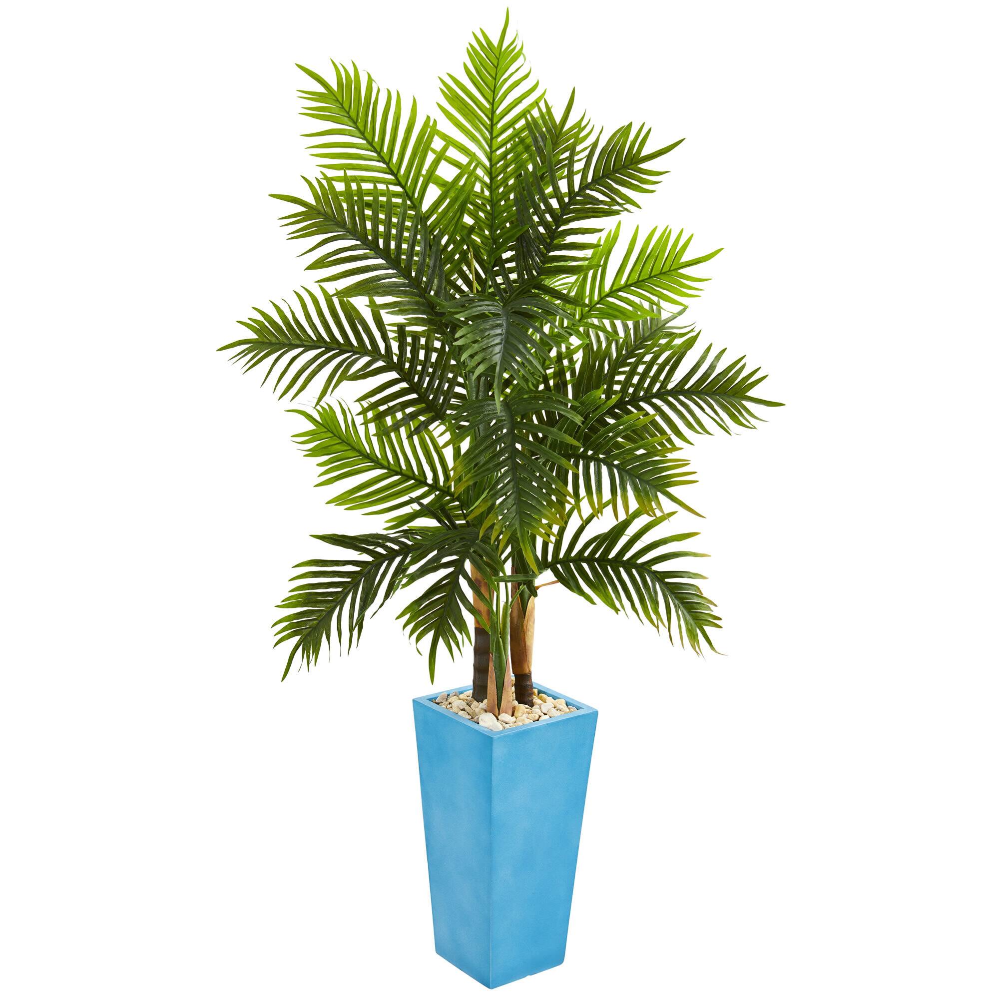 5 5ft Areca Palm Tree With Turquoise Planter Michaels