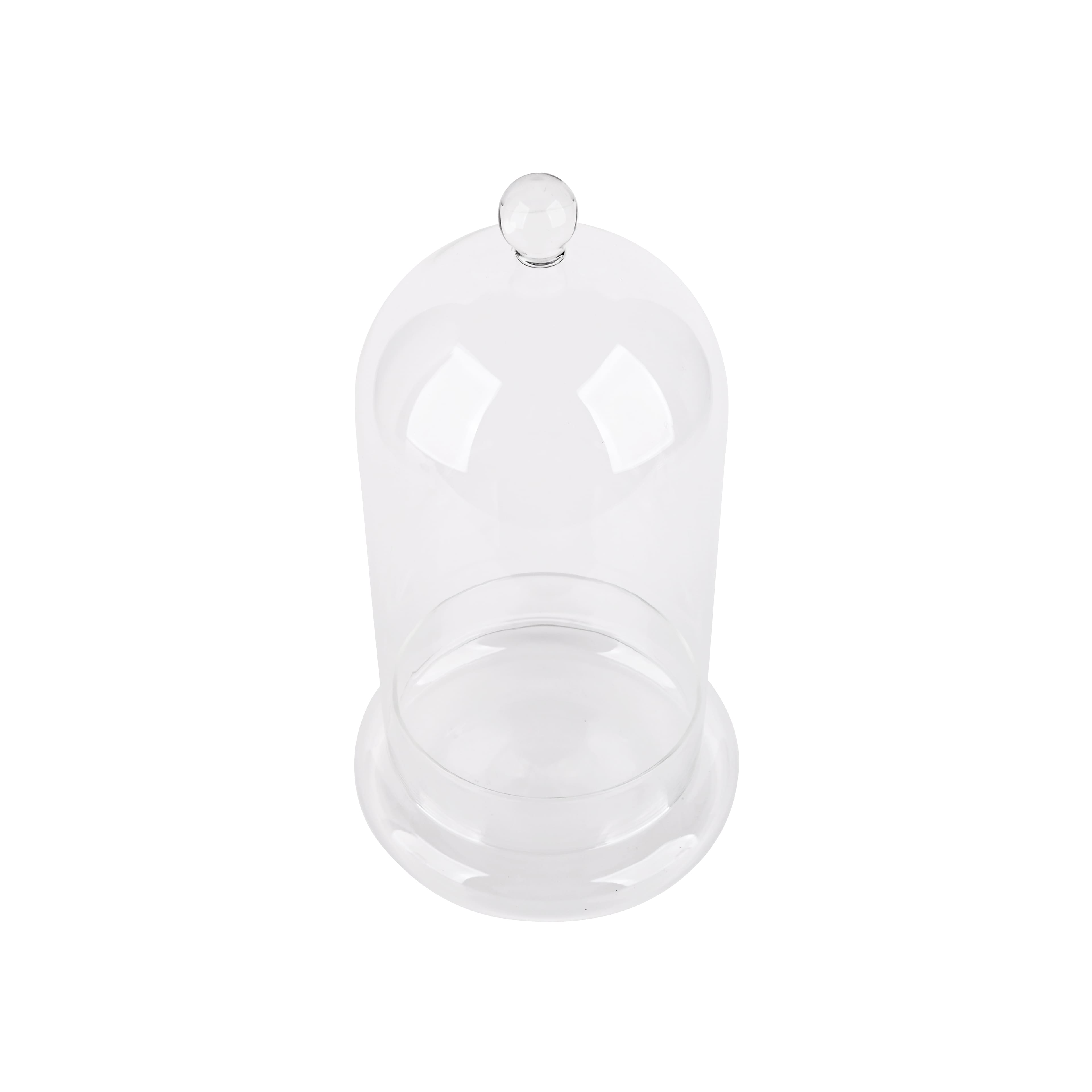 Large Glass Cloche with Base by Ashland®