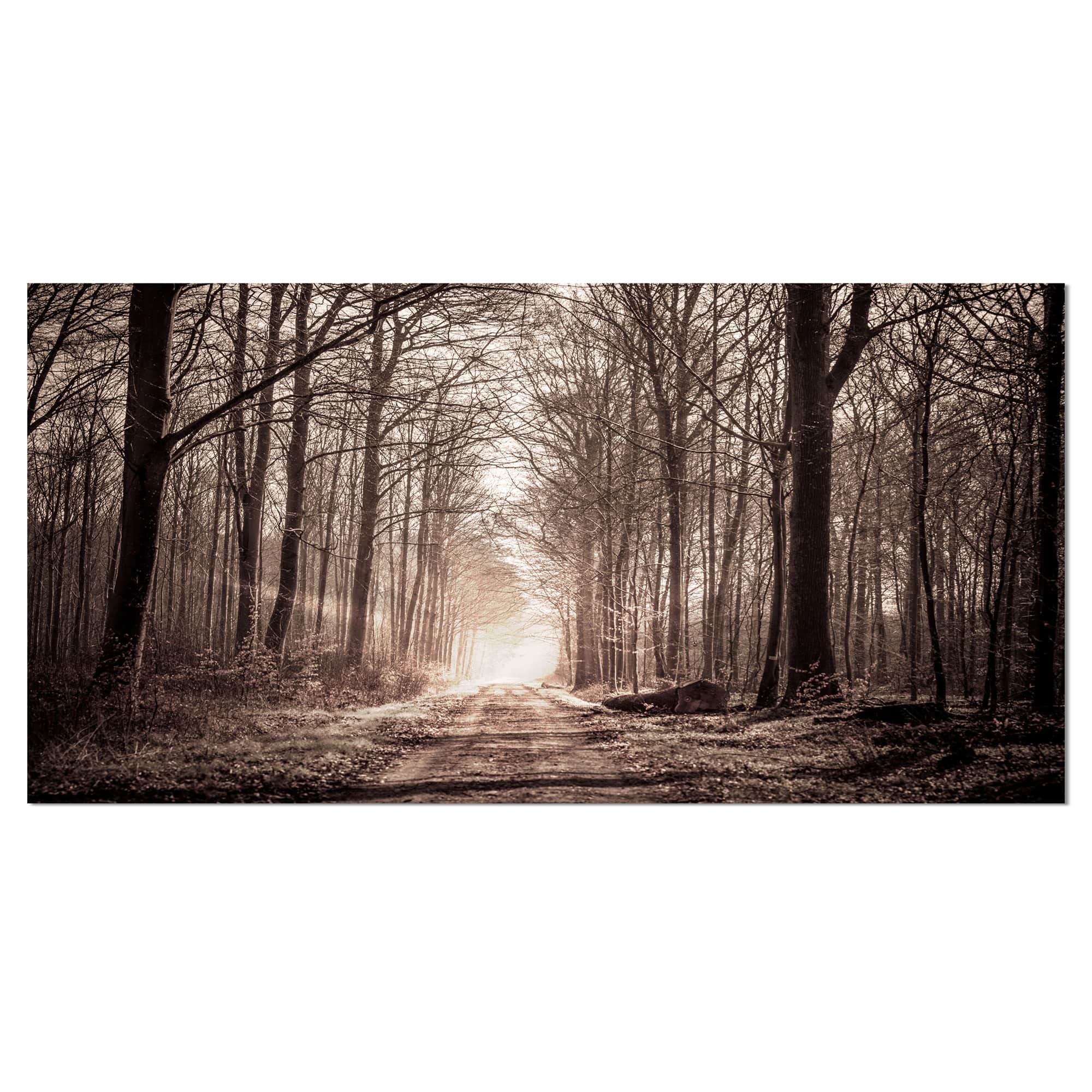 Designart - Forest Trail in Sepia - Landscape Photography Canvas Art Print