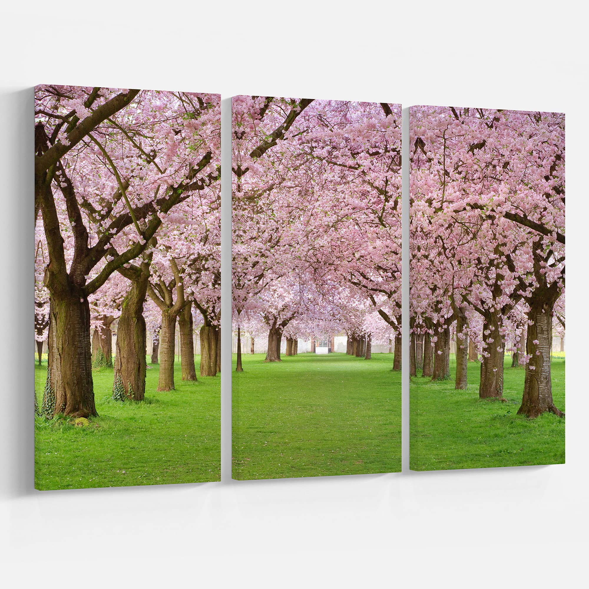 Designart - Stunning Cherry Blossoms Plenitude
