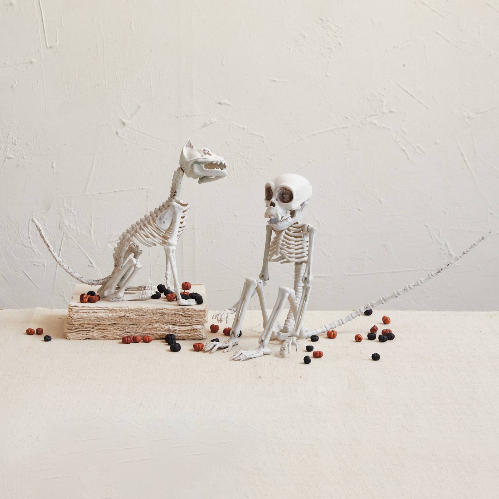 Hello Honey&#xAE; 23.5&#x22; Natural Plastic Monkey Skeleton D&#xE9;cor