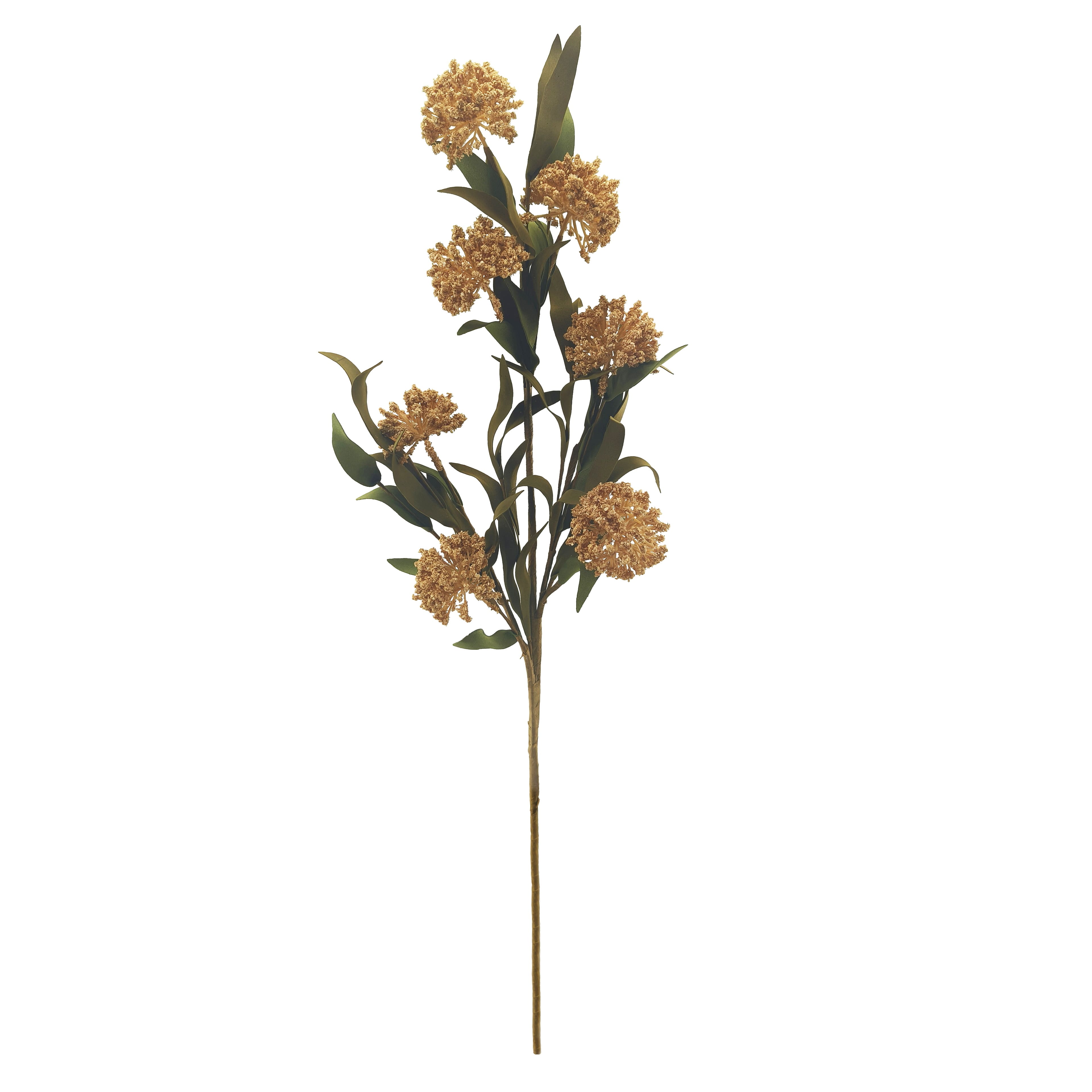 30&#x22; Cream Sedum Stem by Ashland&#xAE;