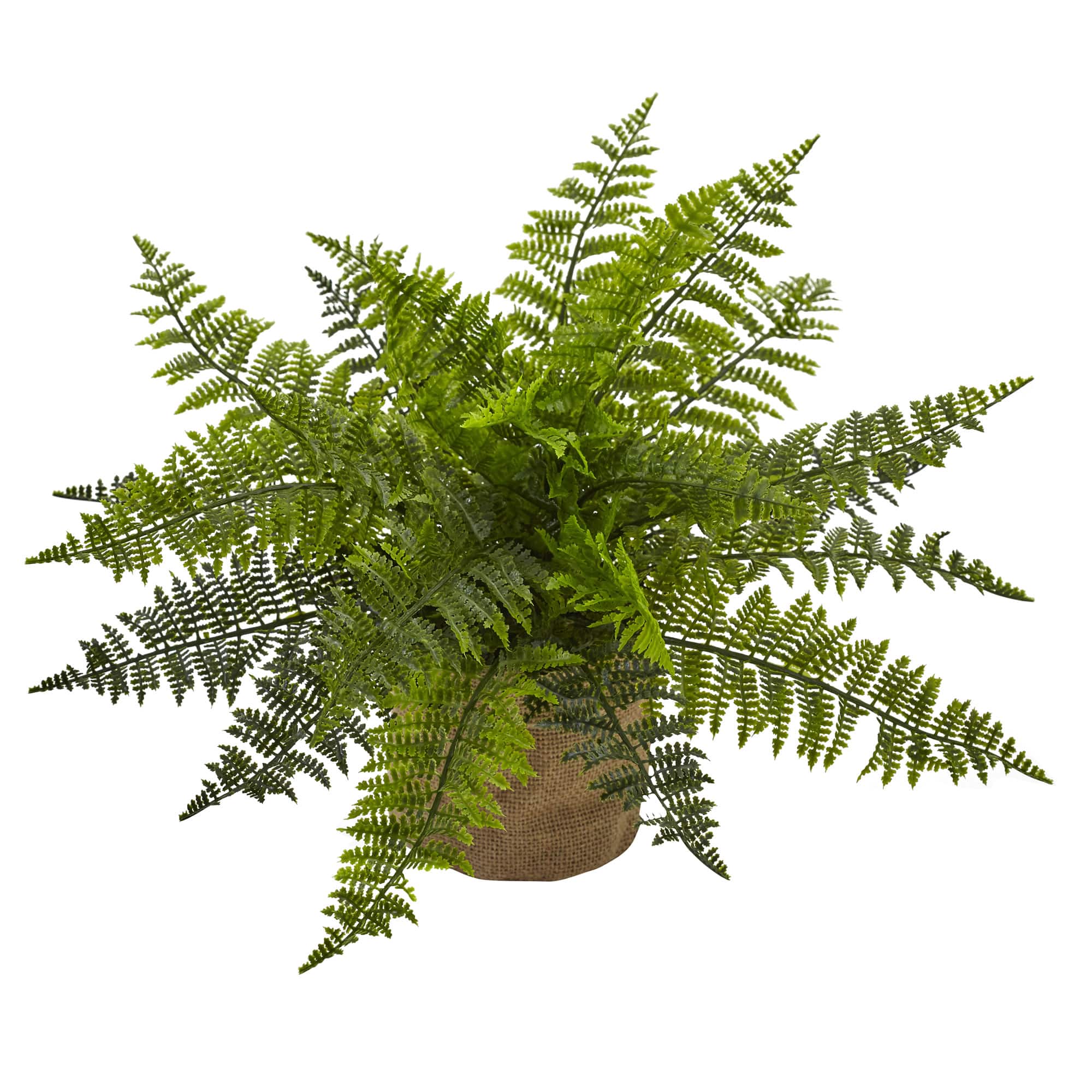 15" Ruffle Fern Bush with Burlap Base, 2ct.