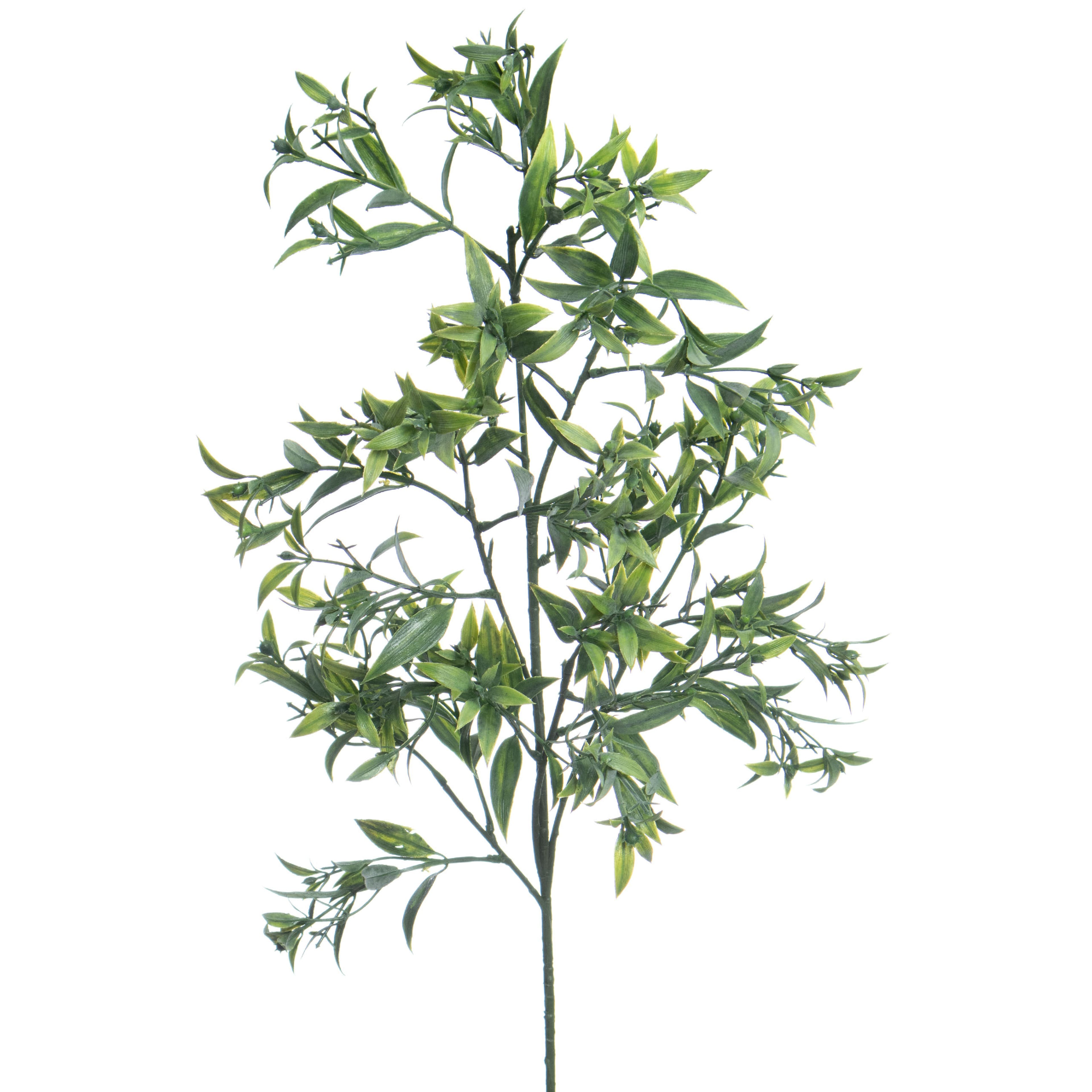 33" Green Ruscus Stem by Ashland®