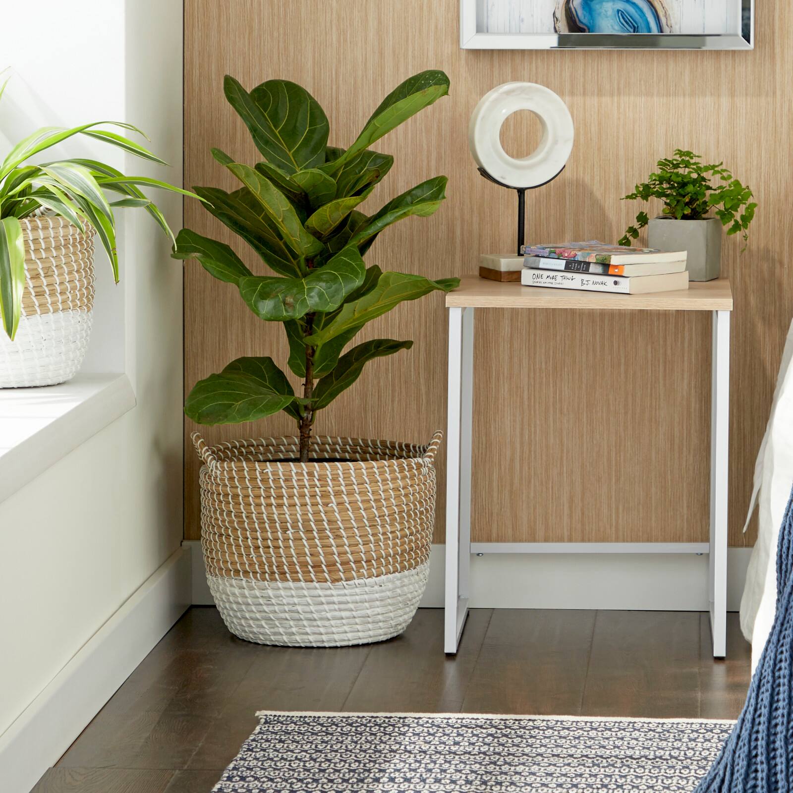 CosmoLiving by Cosmopolitan Brown Sea Grass Contemporary Storage Basket Set