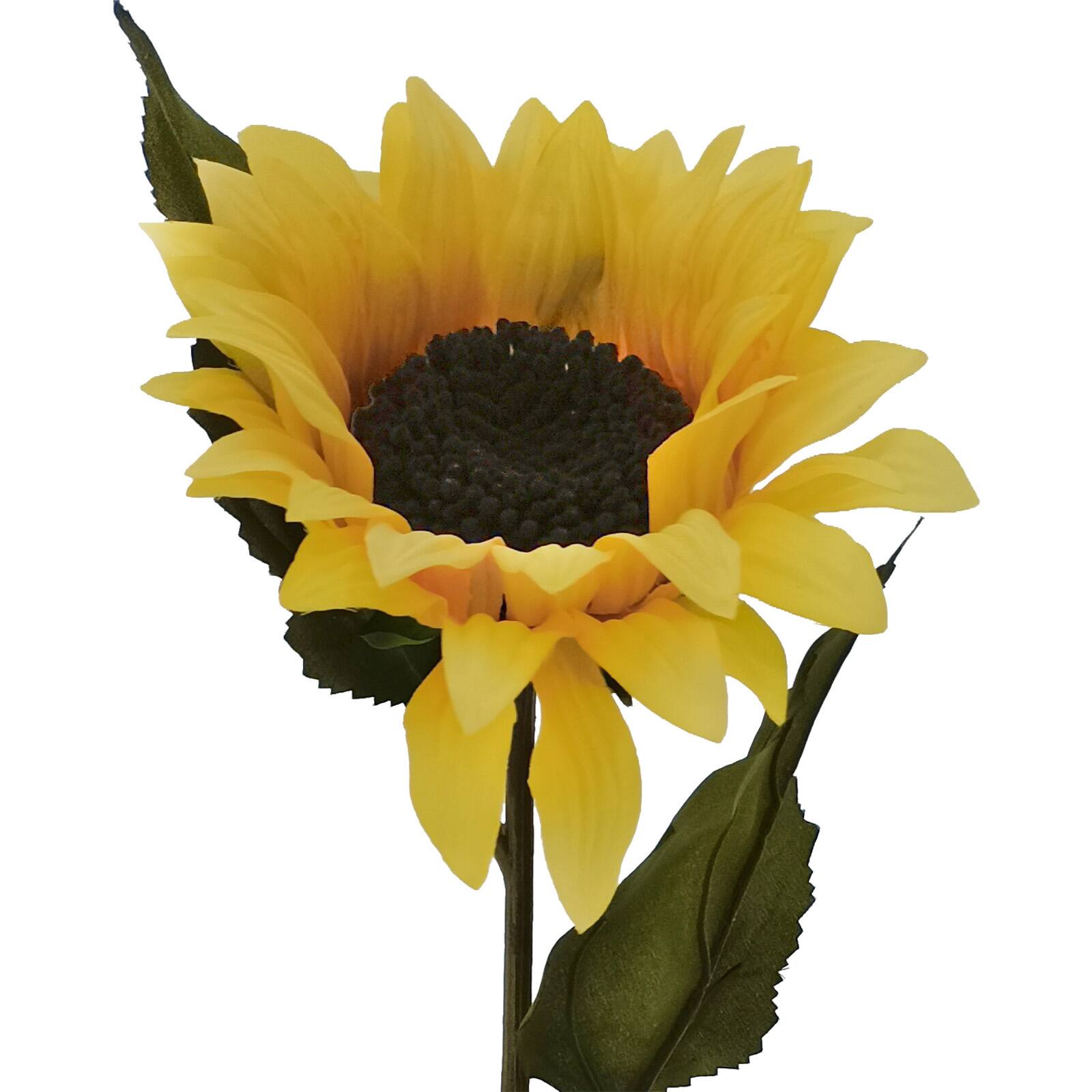 Free Free 300 Clipart Sunflower Stem SVG PNG EPS DXF File