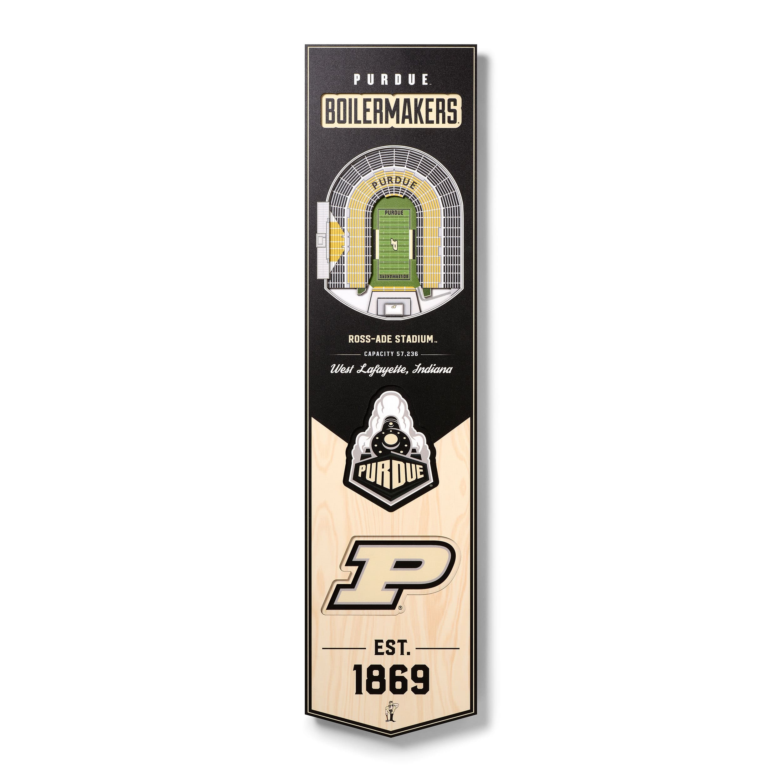 College 3D StadiumView Banner