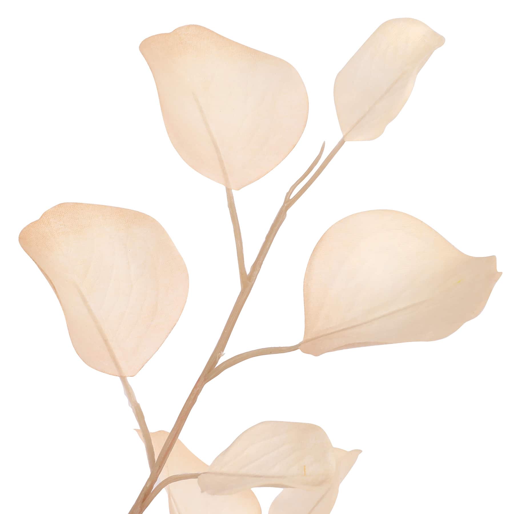 3ft. Cream Eucalyptus Stem by Ashland®