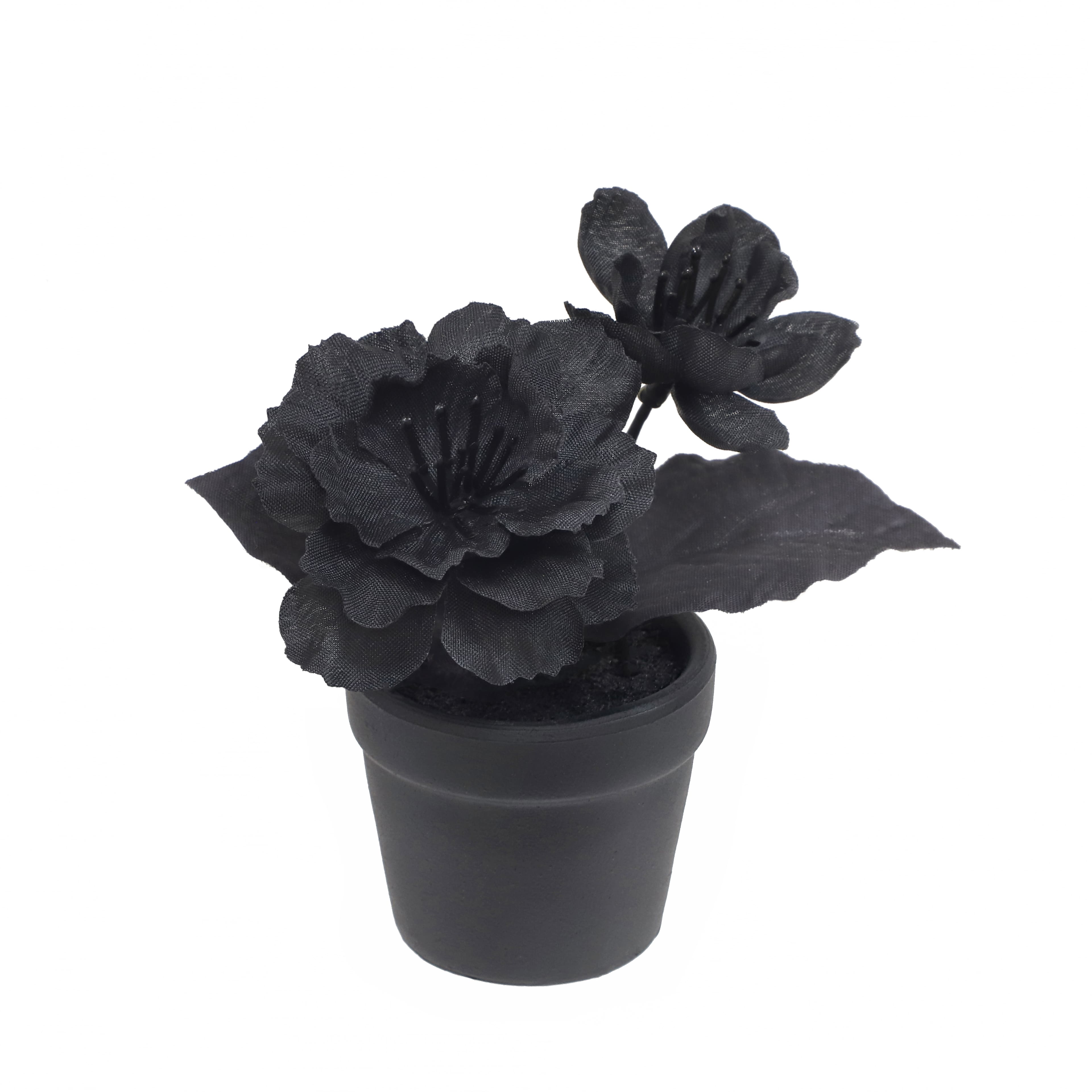 Assorted Mini Potted Floral Arrangement by Ashland&#xAE;, 1pc.