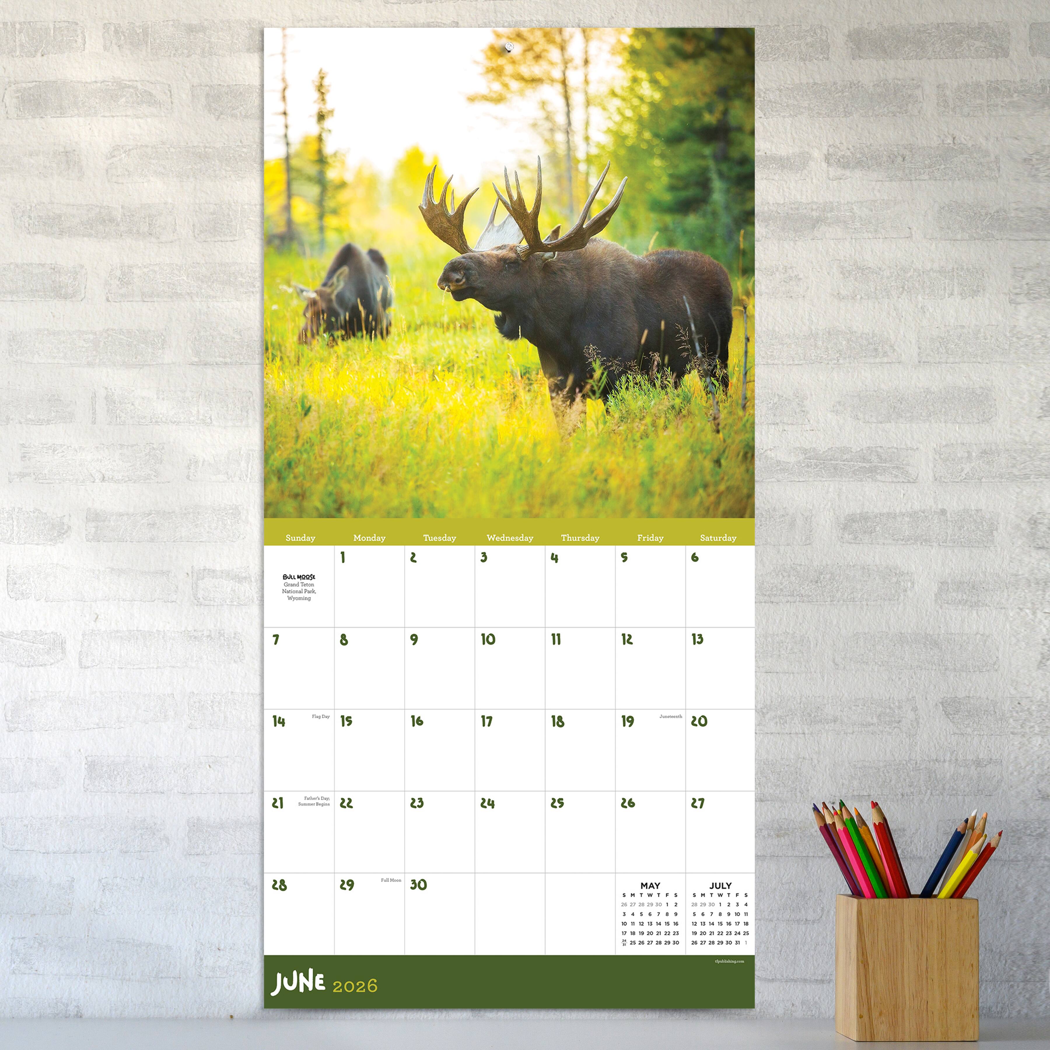 2026 Wild Wall Calendar