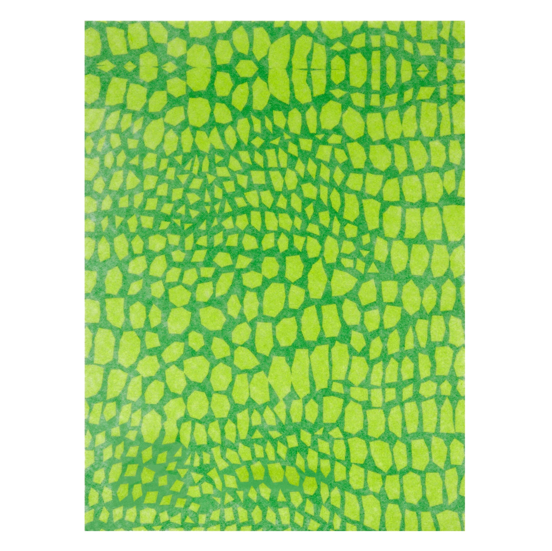 20 Pack: 9" x 12" Alligator Felt by Creatology™