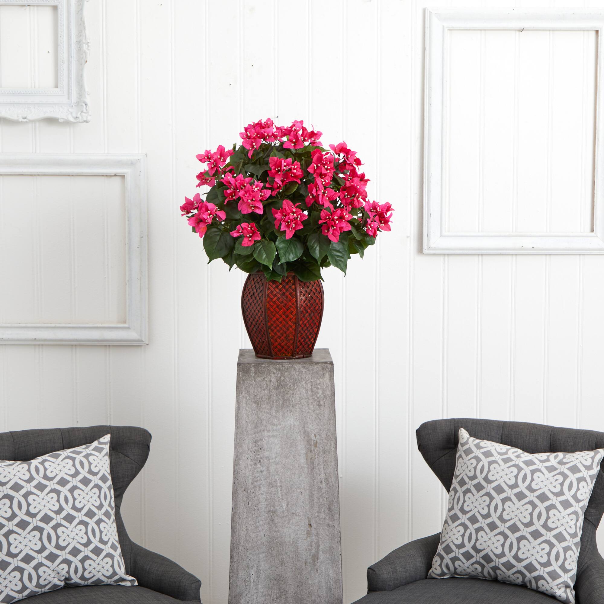 2ft. Pink Bougainvillea with Woven Vase