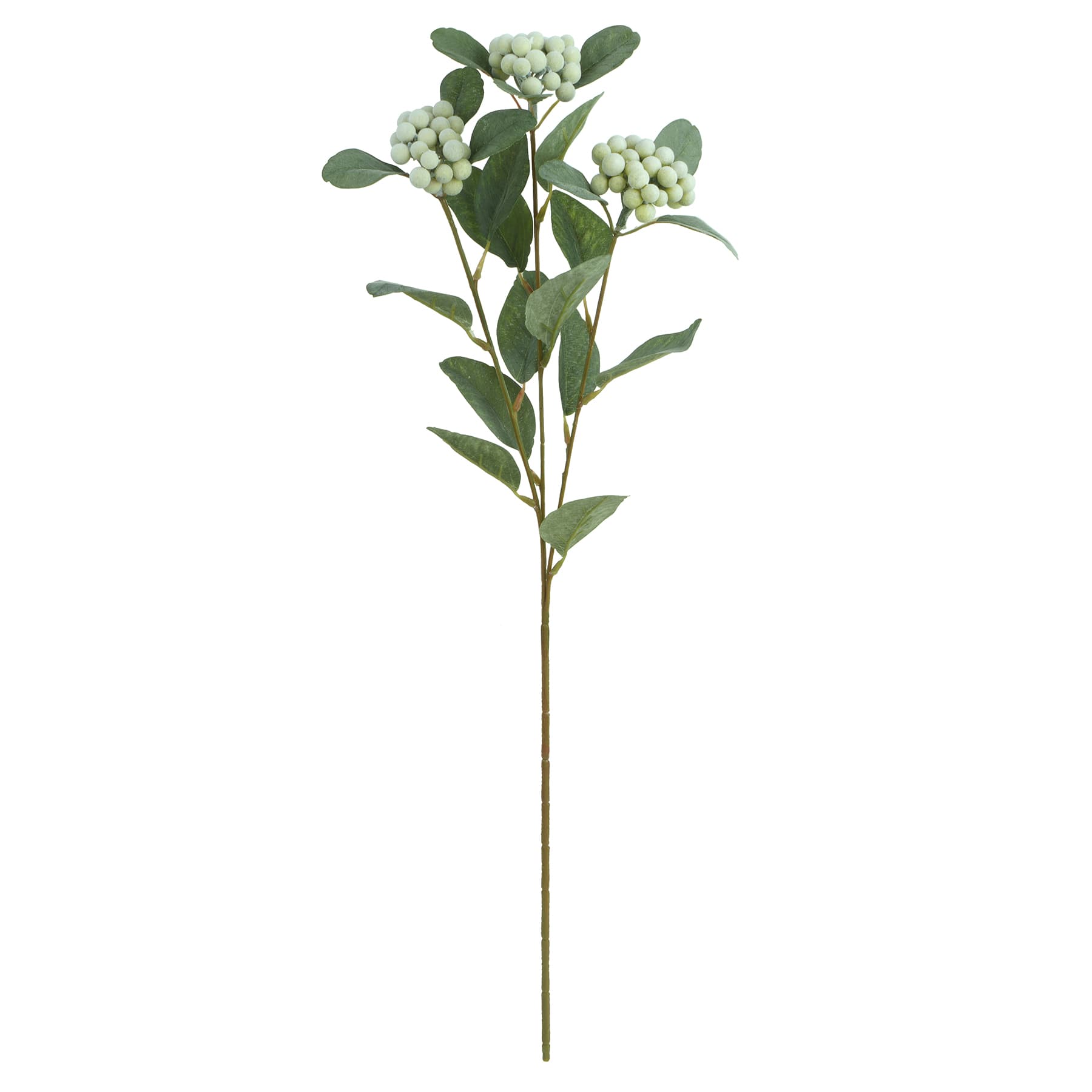 Tige de baies vert sauge de 71,1&#xA0;cm d&#x2019;Ashland