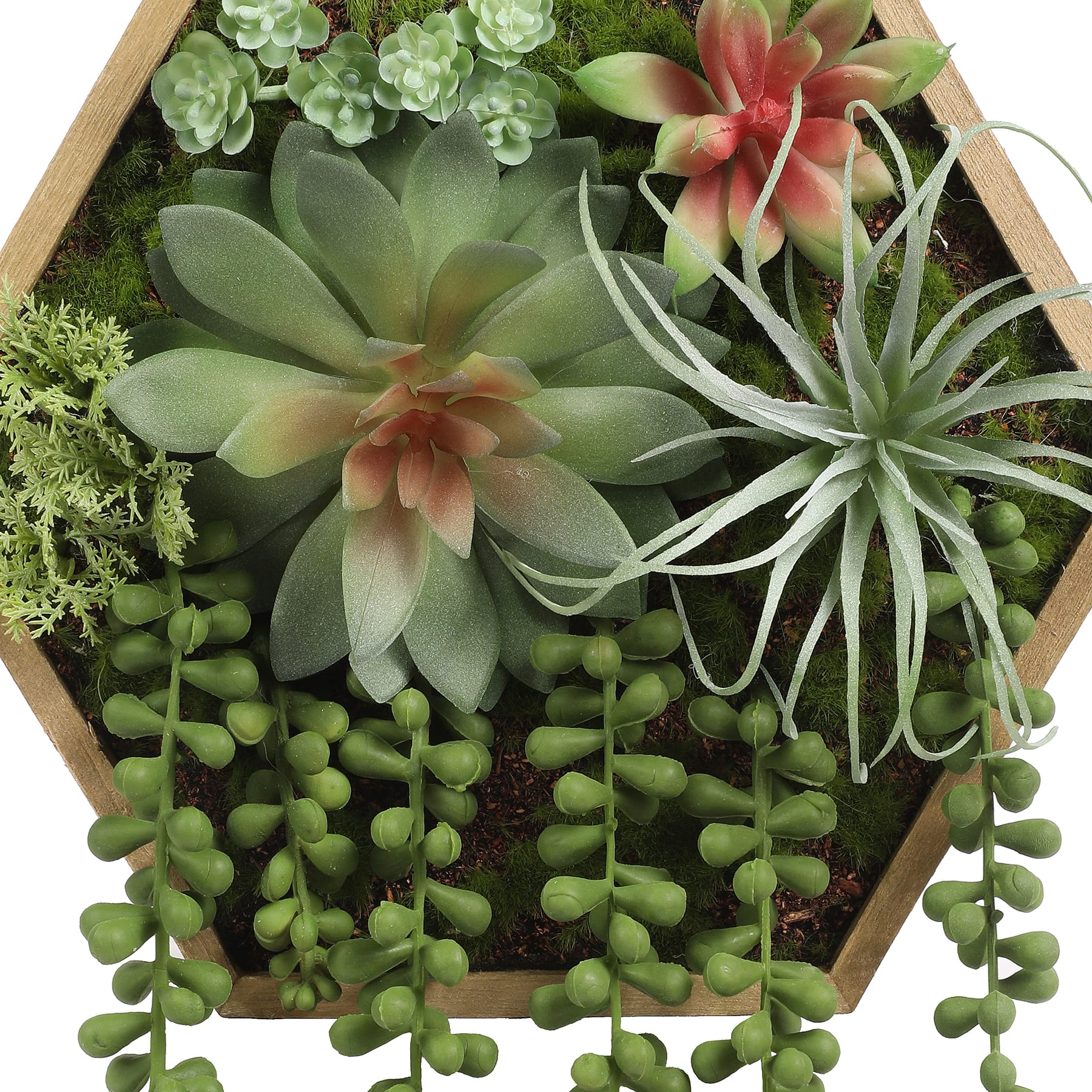 9.5&#x22; Mixed Succulent Hexagon Wreath by Ashland&#xAE;