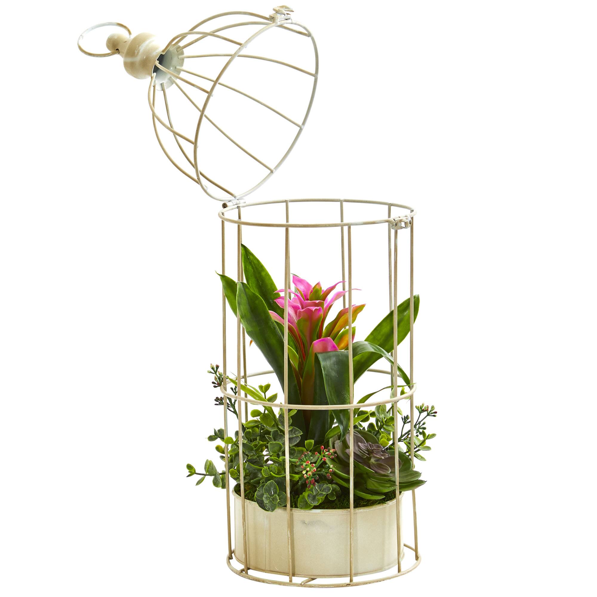 19" Bromeliad & Succulent Artificial Arrangement in Bird Cage