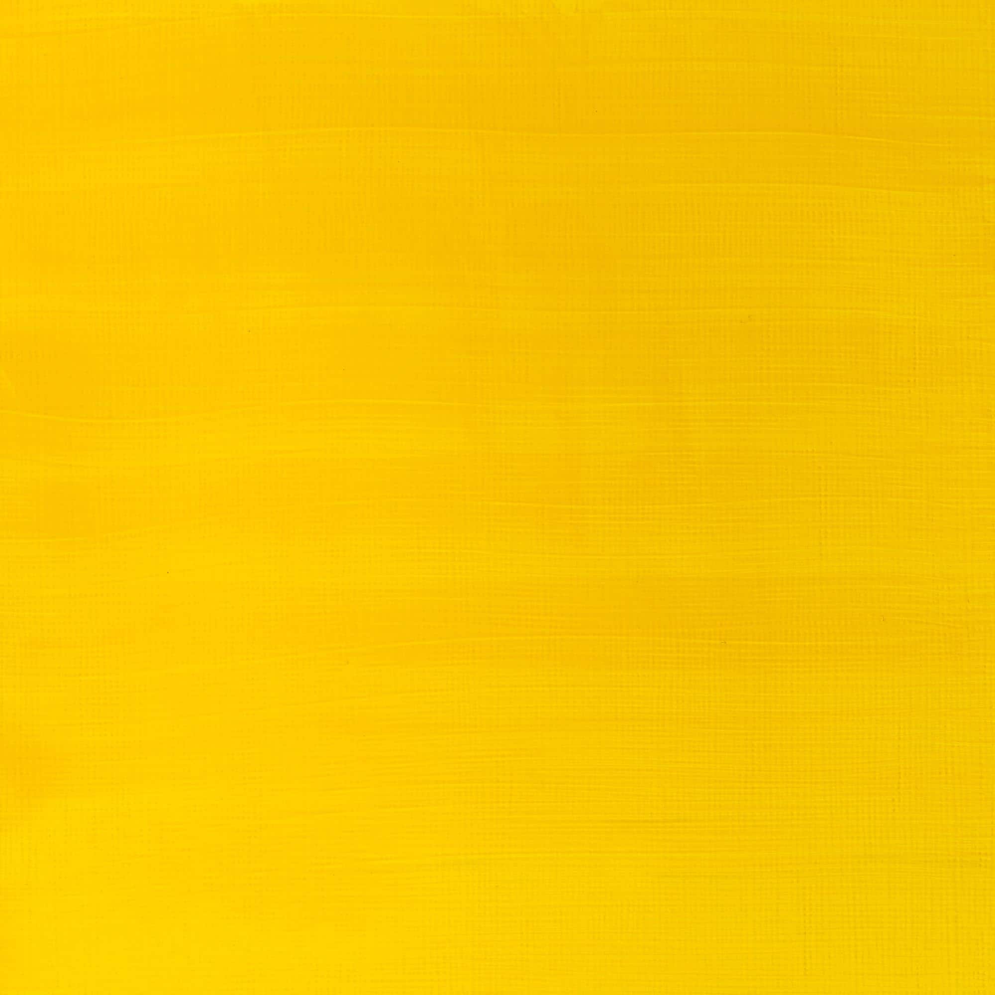 Winsor &#x26; Newton&#x2122; Galeria Acrylic&#x2122;, 60mL