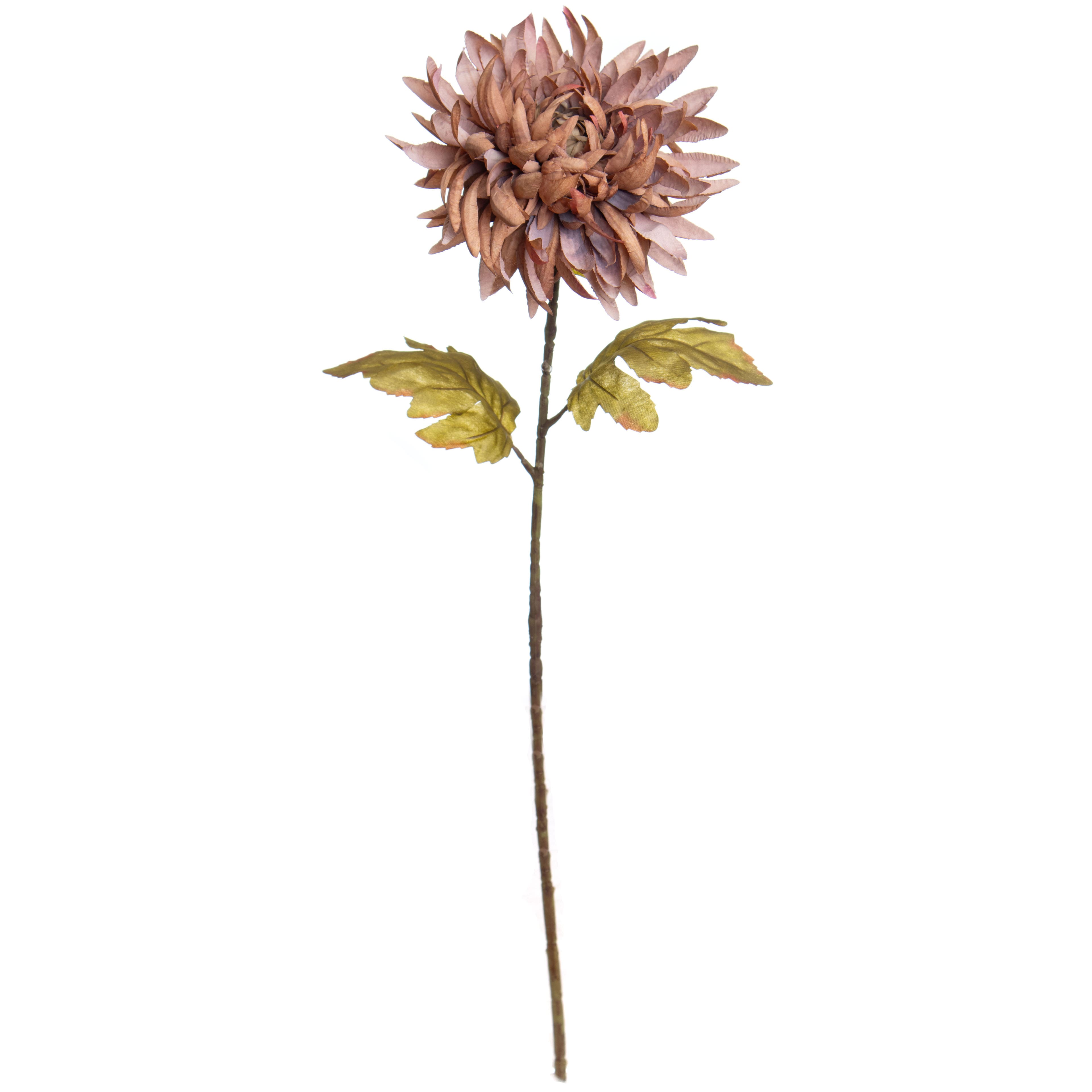 31&#x22; Brown Crab Mum Stem by Ashland&#xAE;