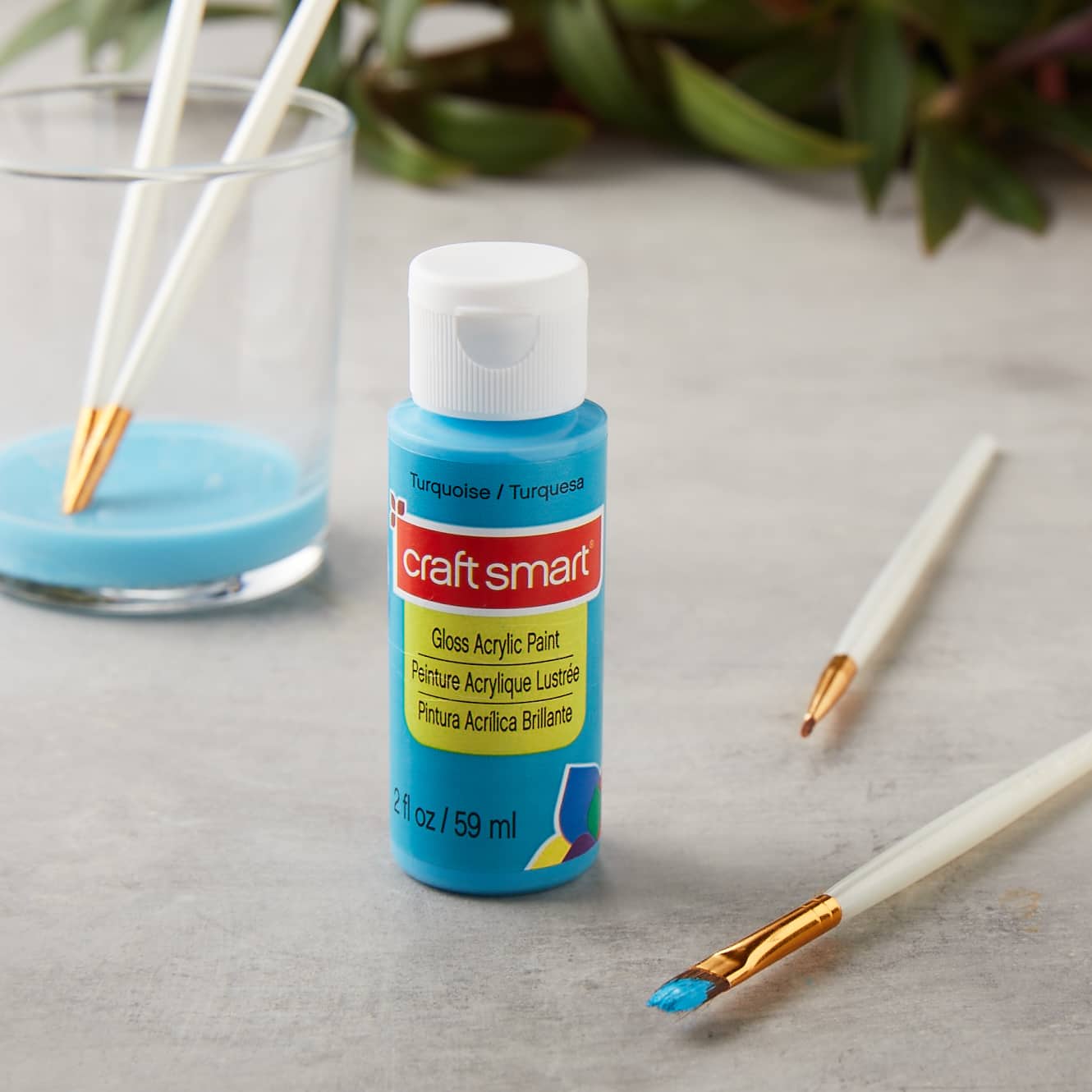 Peinture acrylique brillante de Craft Smart