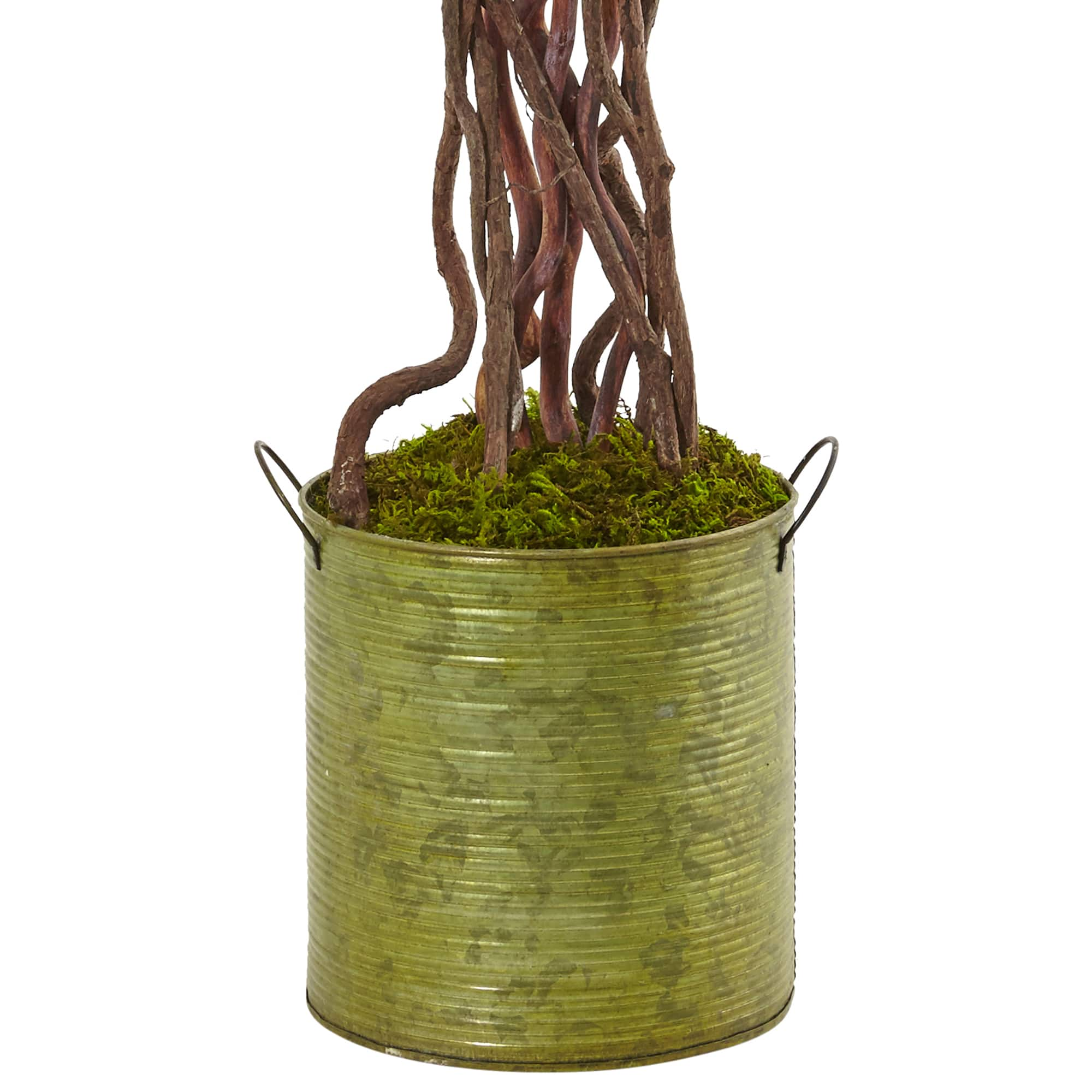 2.5ft. English Ivy Tree in Metal Planter