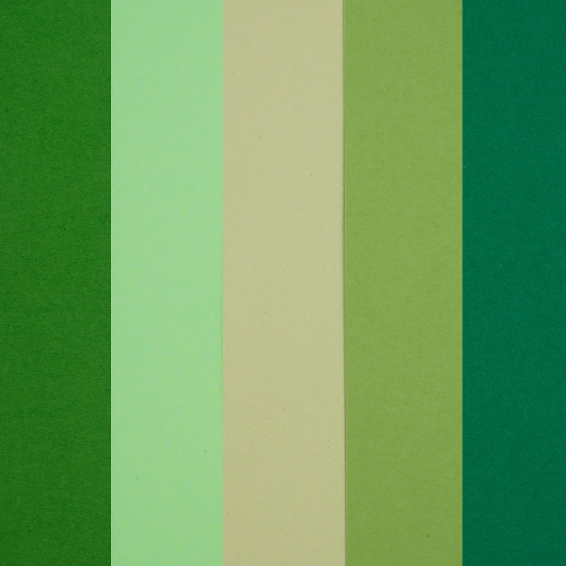 12 Pack: Forest Cardstock Paper Pad by Recollections™, 8.5" x 11"