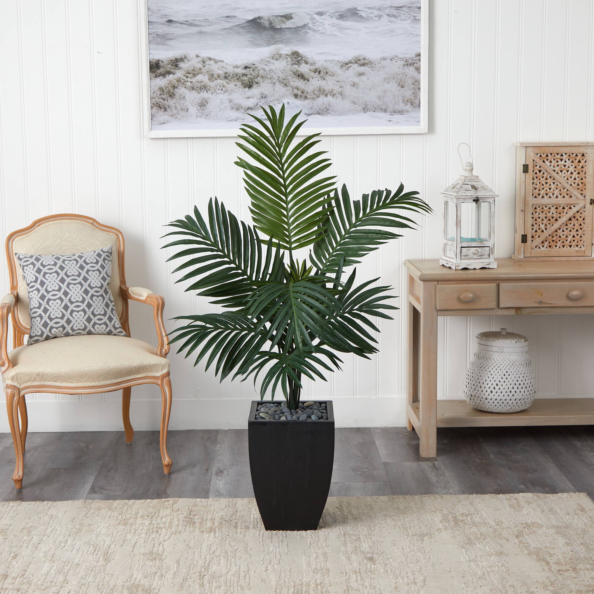 4.5ft. Kentia Palm Tree in Black Planter