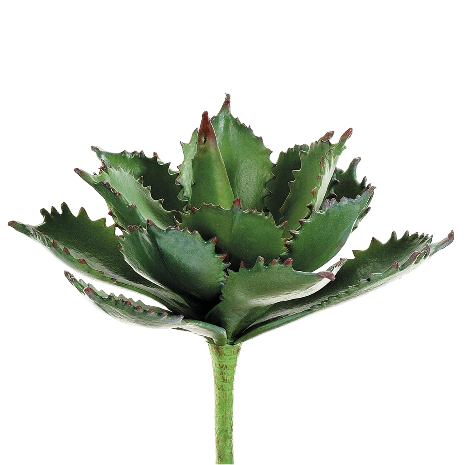 Green & Red Agave Pick | Floral Picks | Michaels