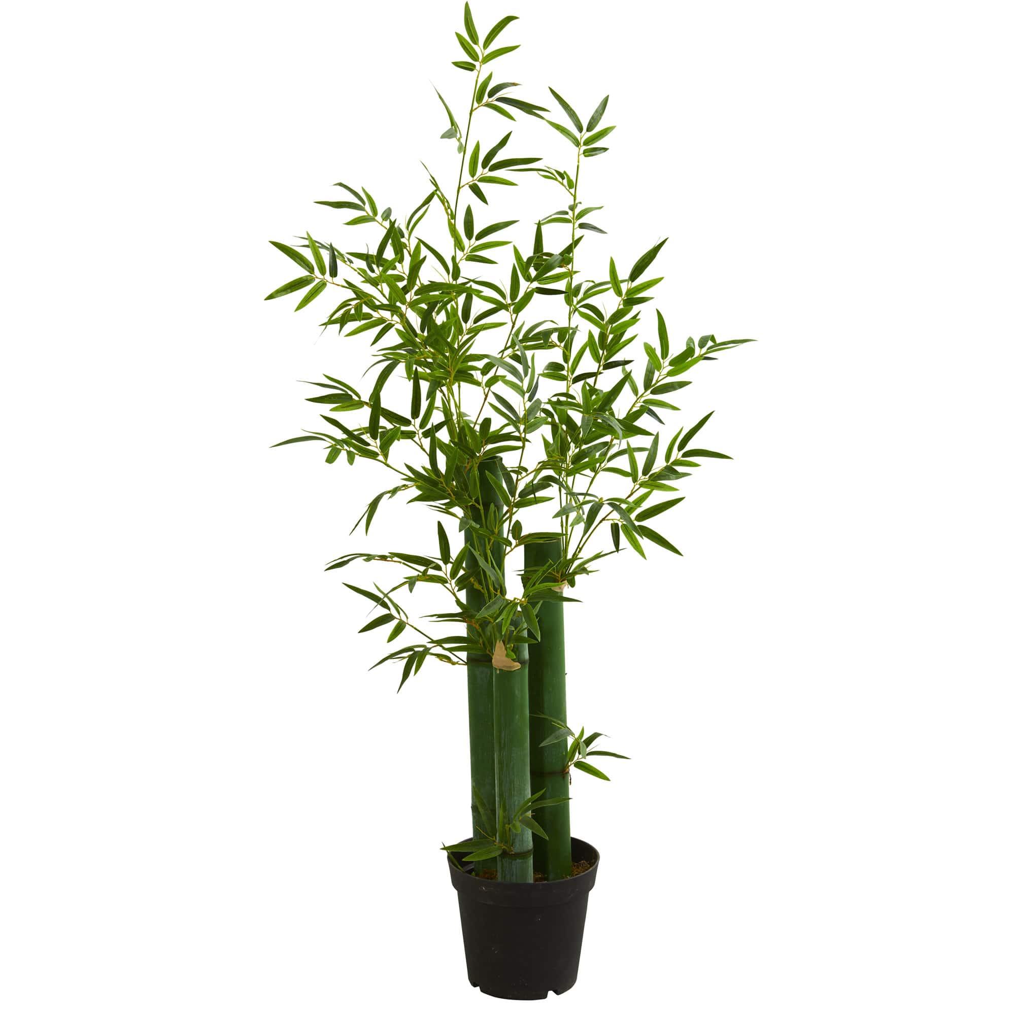 5ft. Potted Green Bamboo Tree