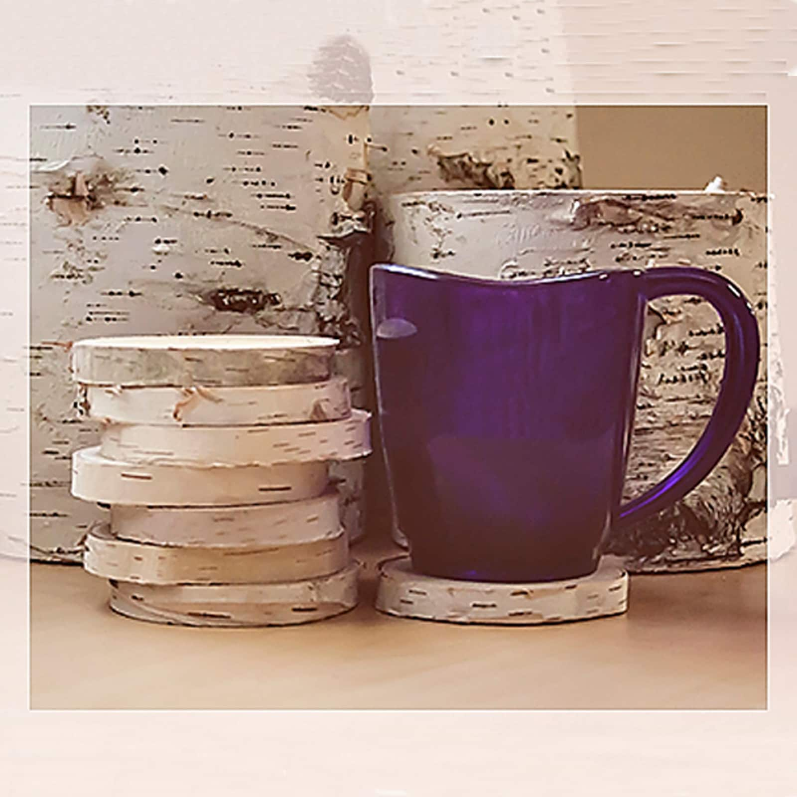 Wilson&#xAE; Enterprises Birch Coasters, 8ct.