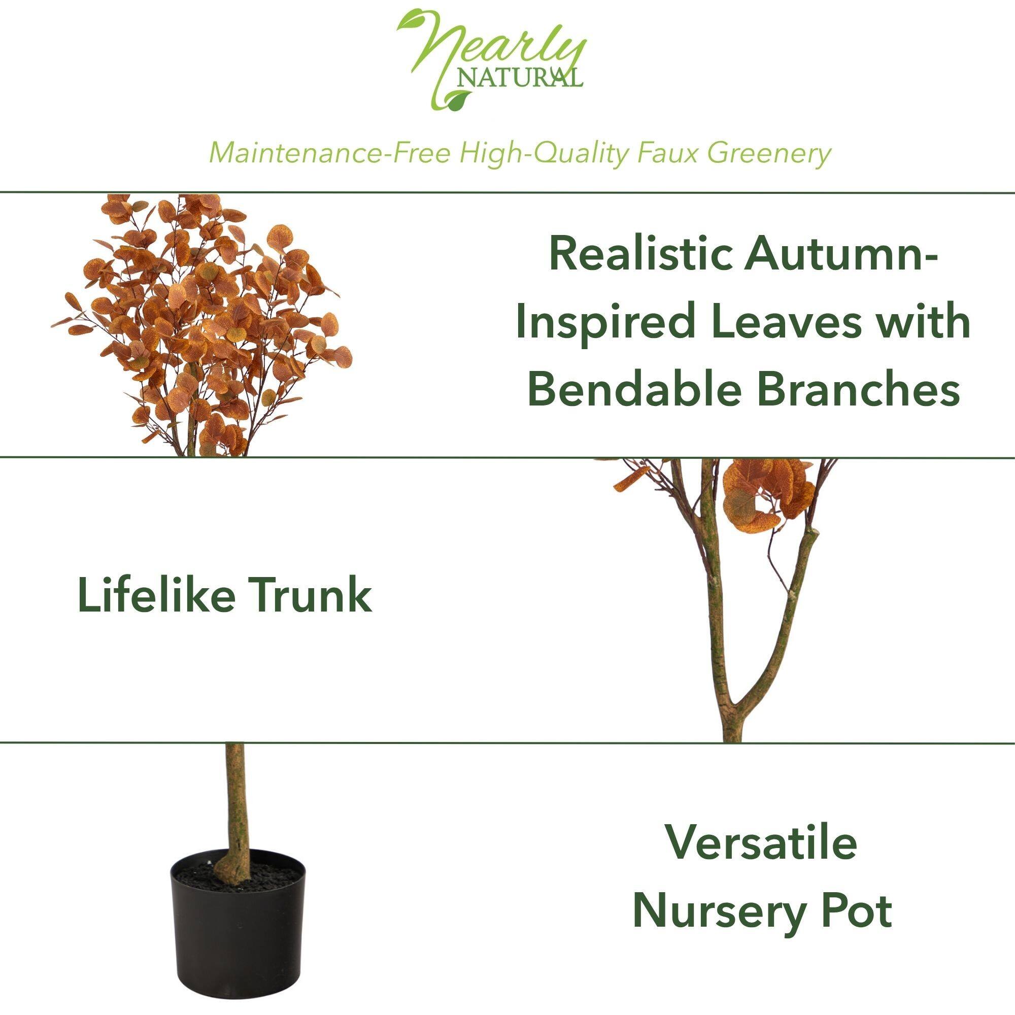 4ft. Potted Autumn Eucalyptus Tree