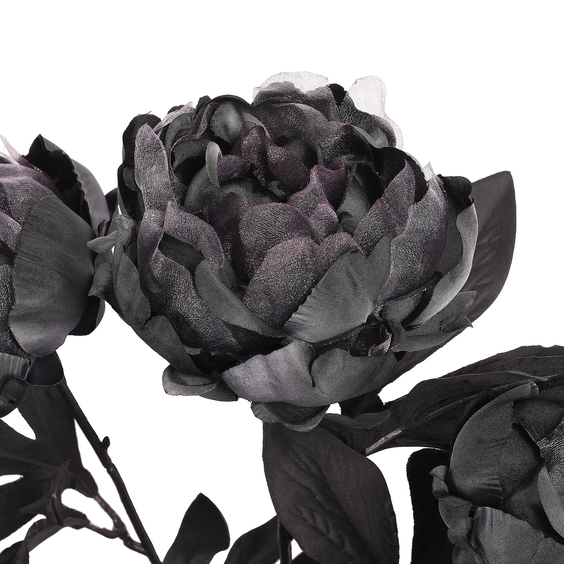 19&#x22; Black Peony Halloween Bush by Ashland&#xAE;