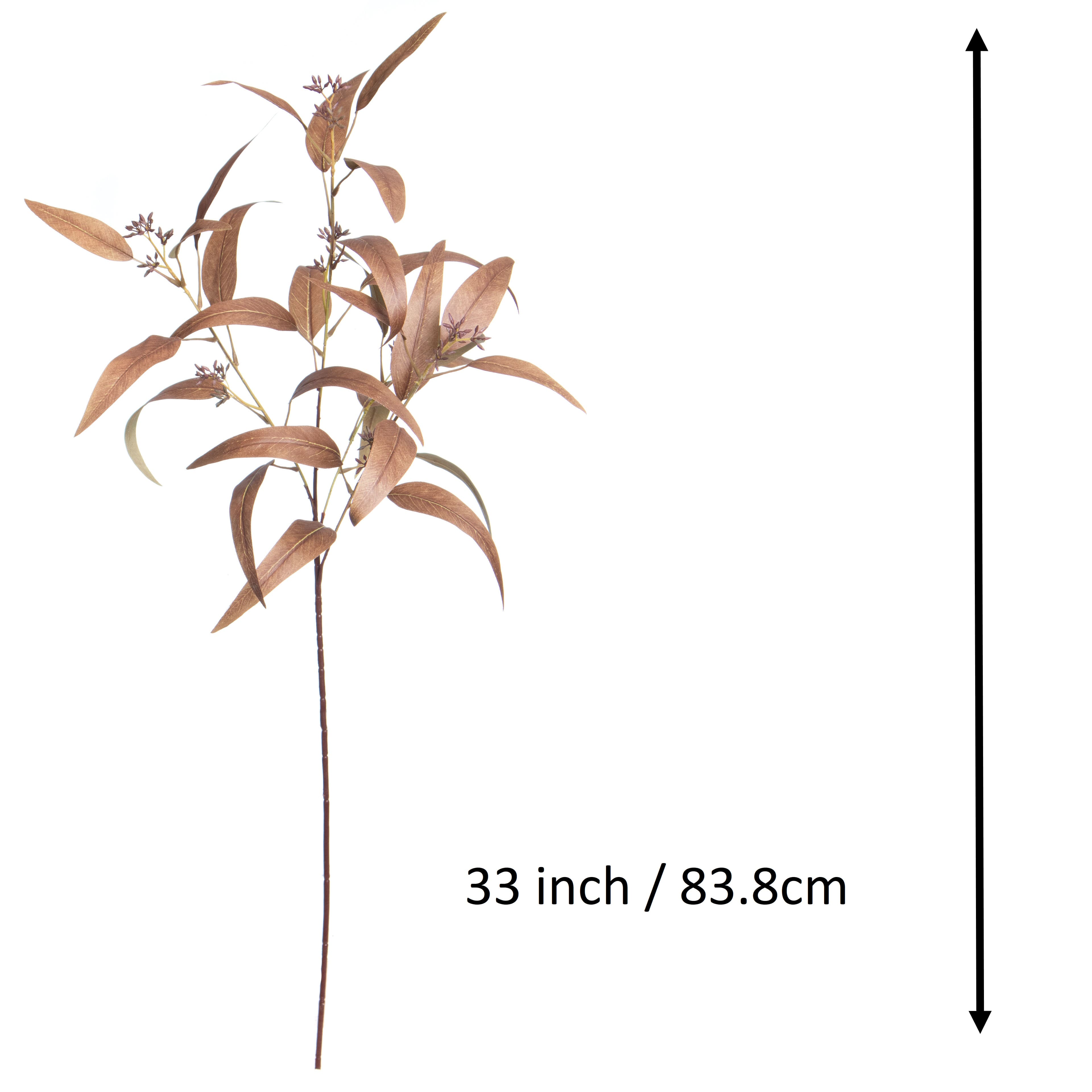 33&#x22; Long Seeded Brown Eucalyptus Stem by Ashland&#xAE; Fall