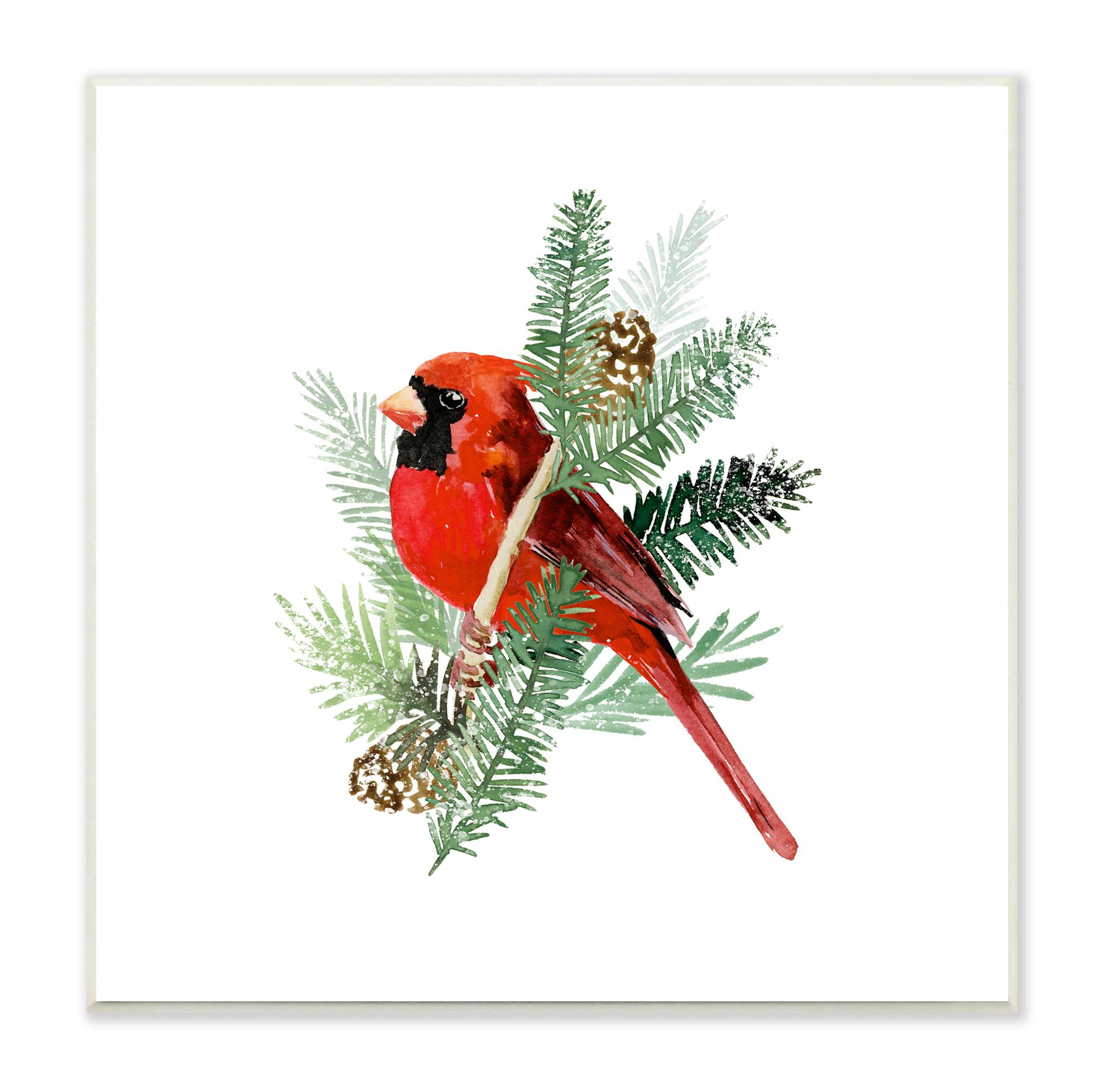 Stupell Industries Red Cardinal Pine Branch Minimal Bird Portrait,12" x 12"