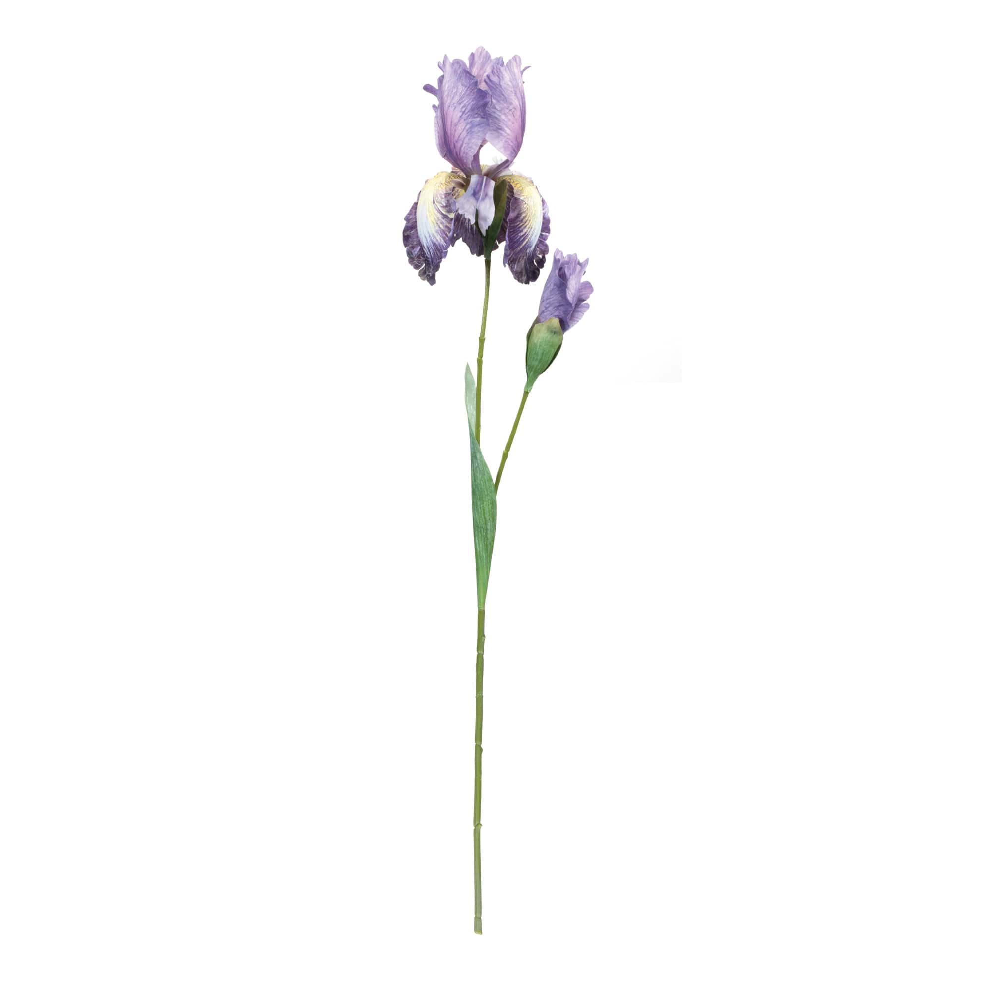 32.5&#x22; Iris Floral Stem, 6ct.