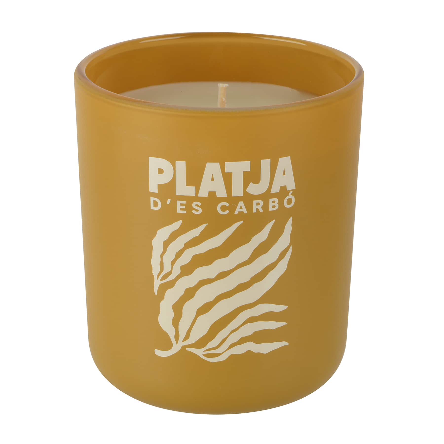 10oz. Scented Candle in Gift Box by Ashland®