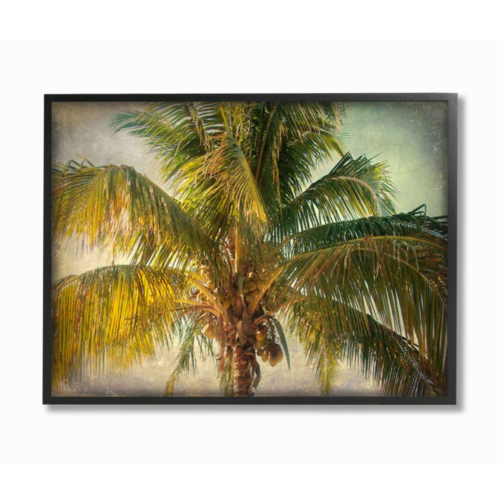 Stupell Industries Distressed Tropical Summer Palm Tree Photograph Black Framed Wall Art