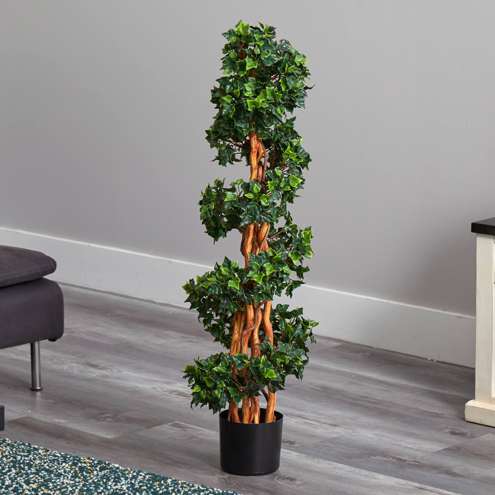 3.5ft. Potted English Ivy Spiral Tree