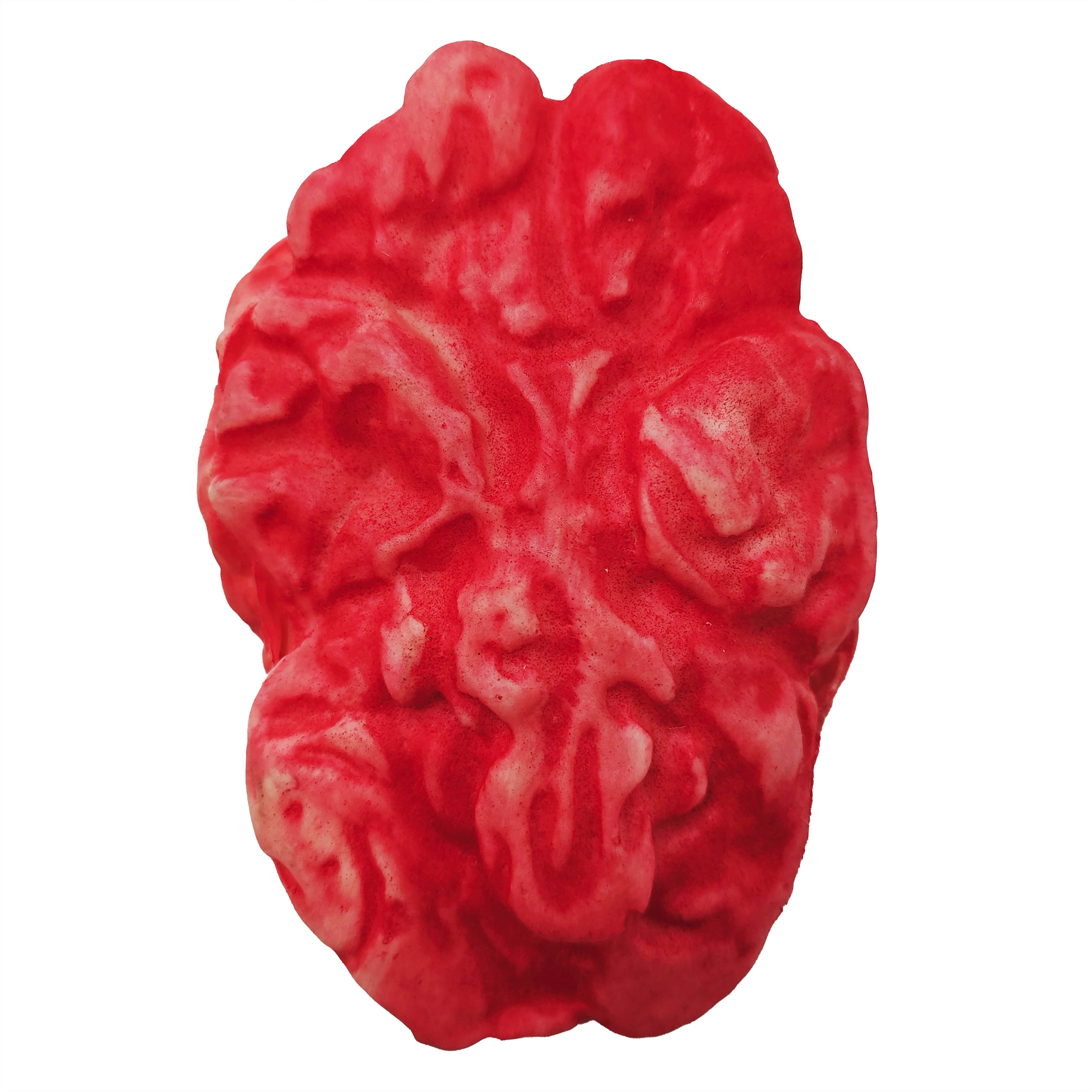 Assorted Severed Organ Halloween Accents, 6pc. by Ashland&#xAE;