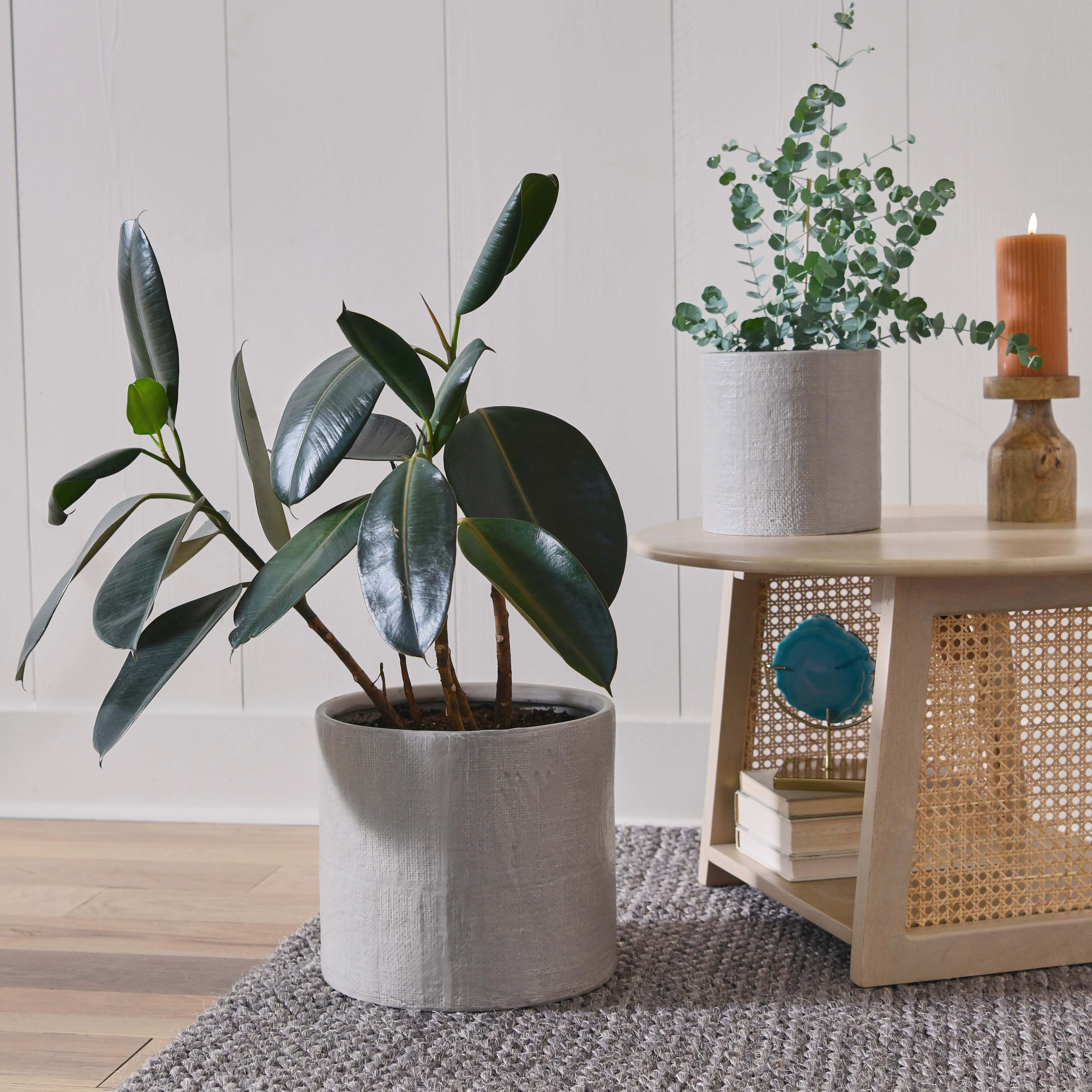 Hello Honey® Stoneware Planters with Embossed Cross Hatch Texture Set