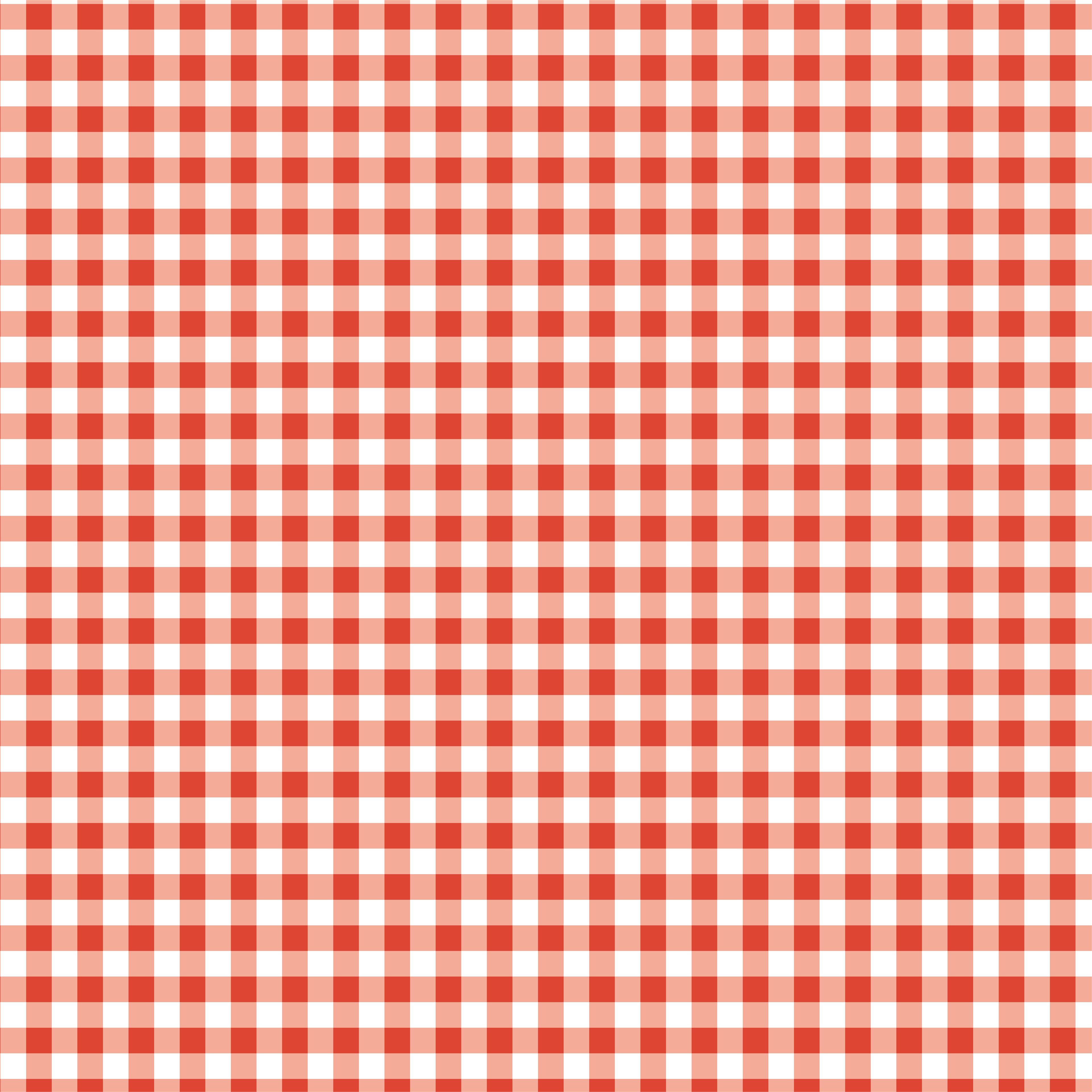 Gingham Print Craft Fabric