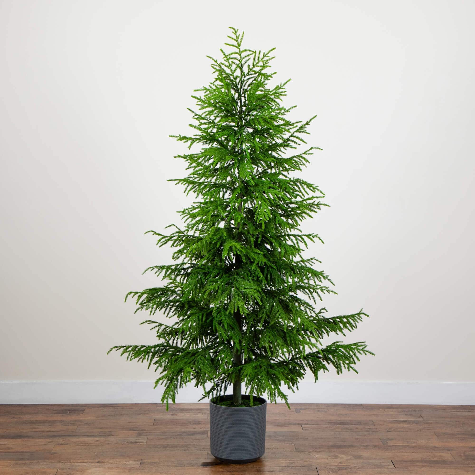 7ft. Norfolk Island Pine Real Touch Artificial Christmas Tree