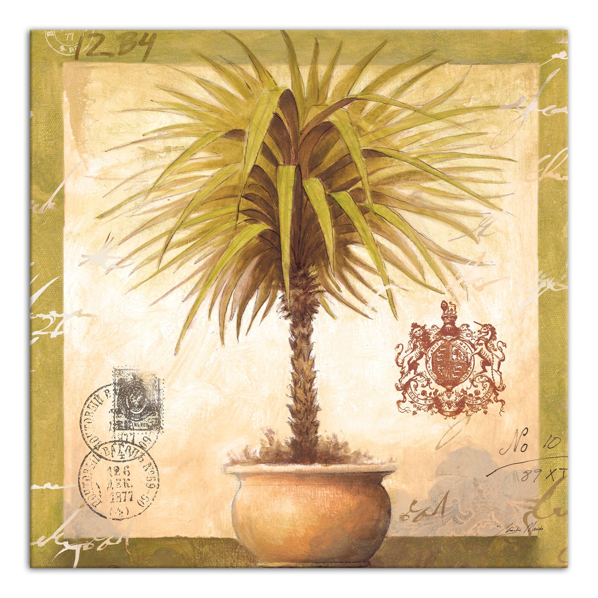 Tropical Potted Palm 20" x 20" Canvas Wall Art