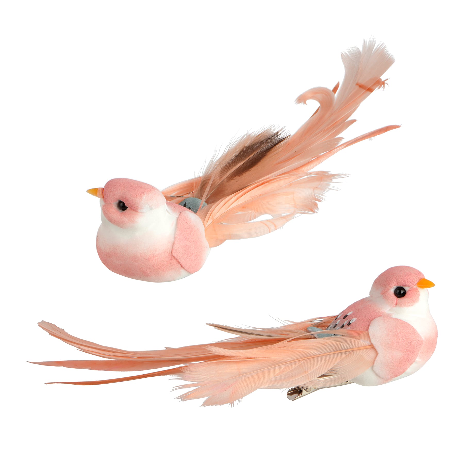 Decorative Feather Birds, 2ct. by Ashland&#xAE;
