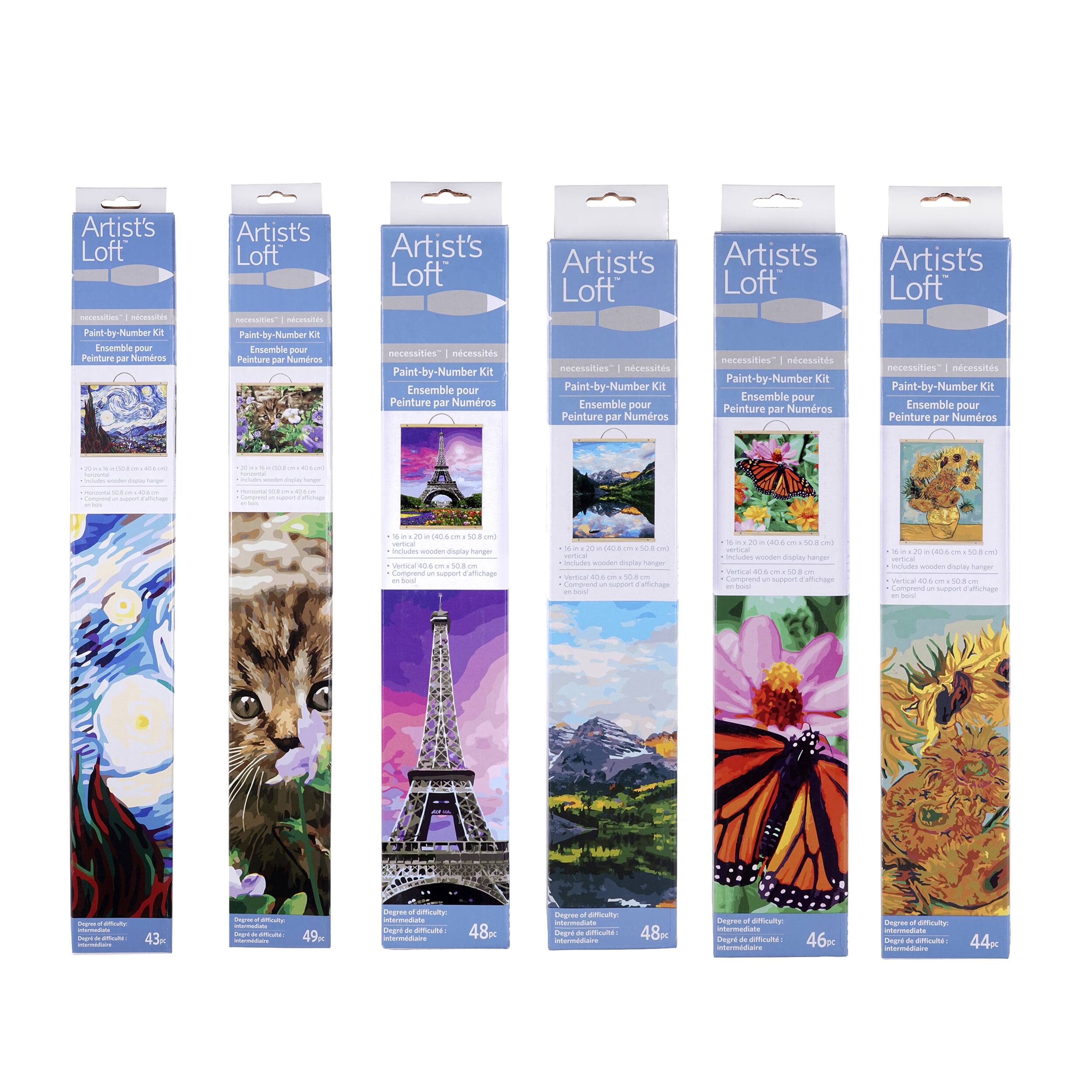 Black Friday All-In-One Paint By Numbers Bundle