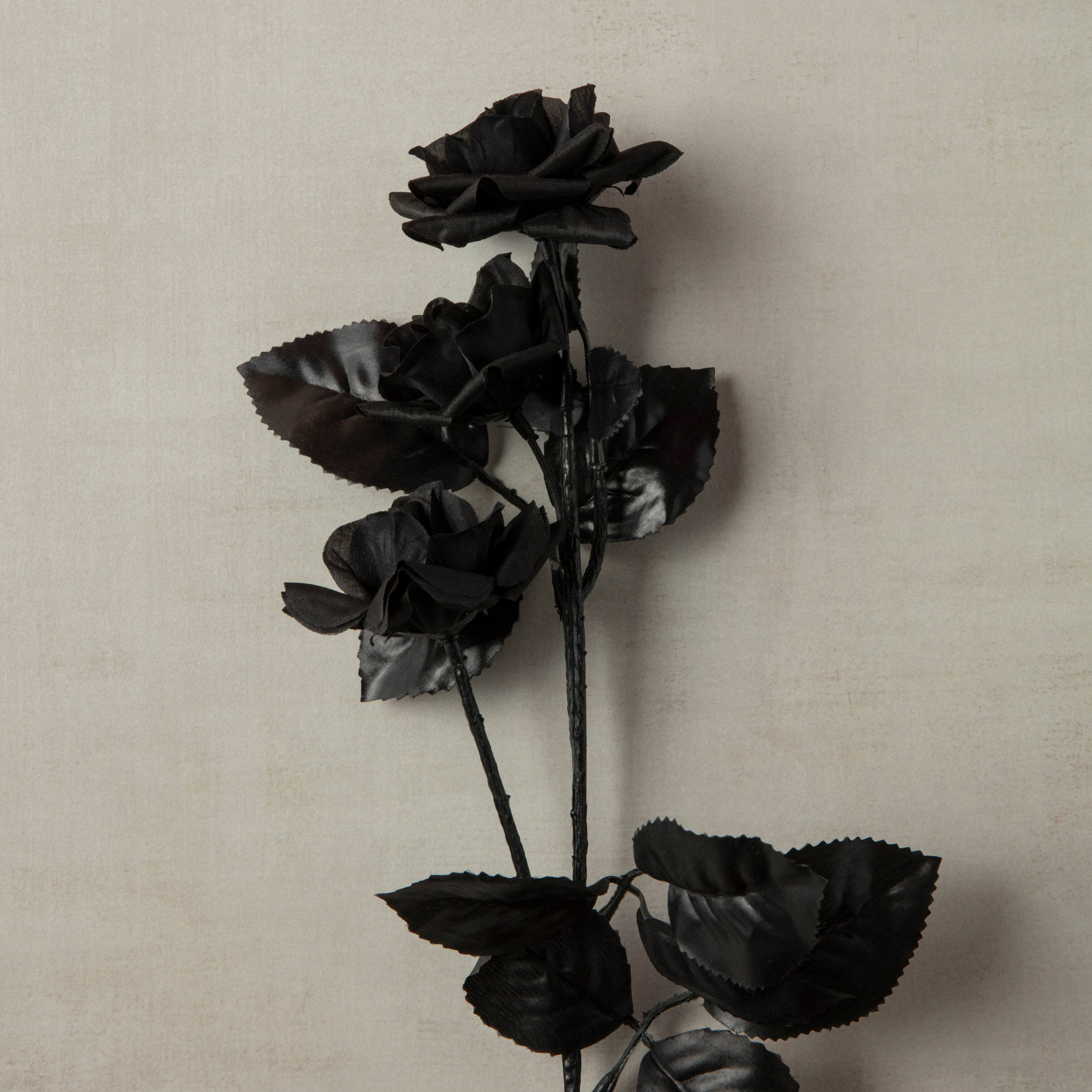 12 Pack: Black Diamond Rose Spray by Ashland®