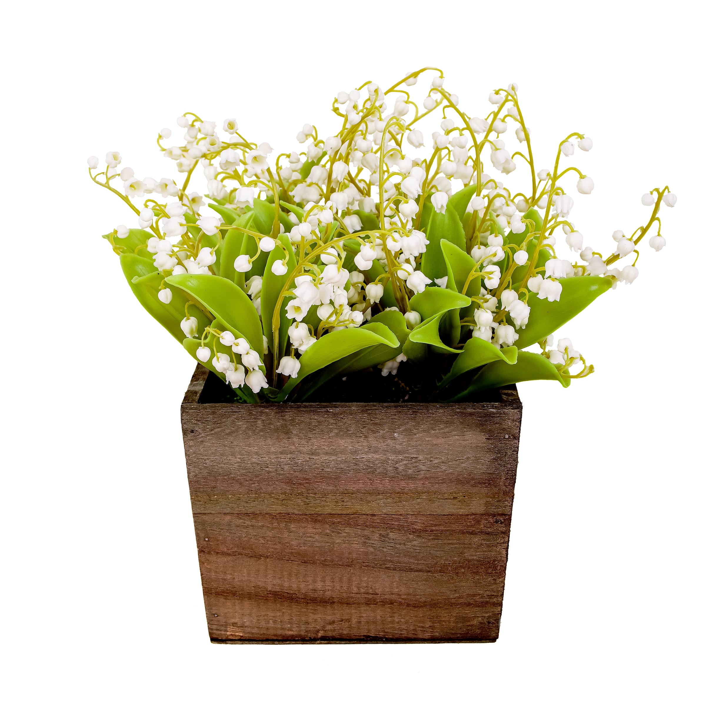 10" Lily-Of-The-Valley Flowers In Wood Box