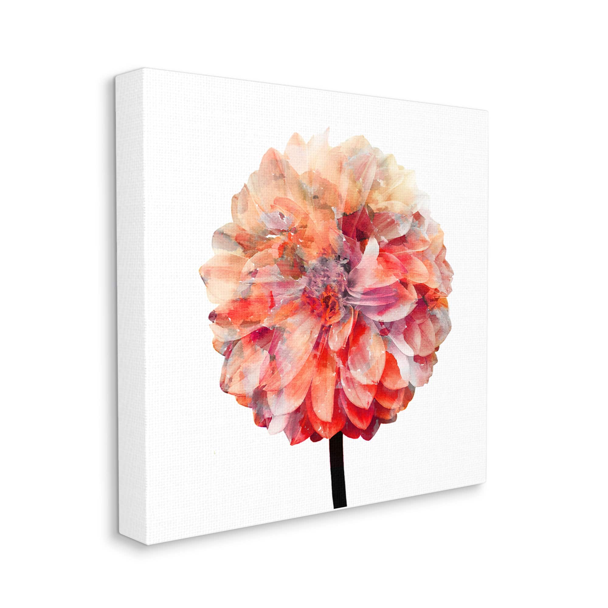 Stupell Industries Bright Coral Watercolor Bloom Dahlia Flower Canvas Wall Art