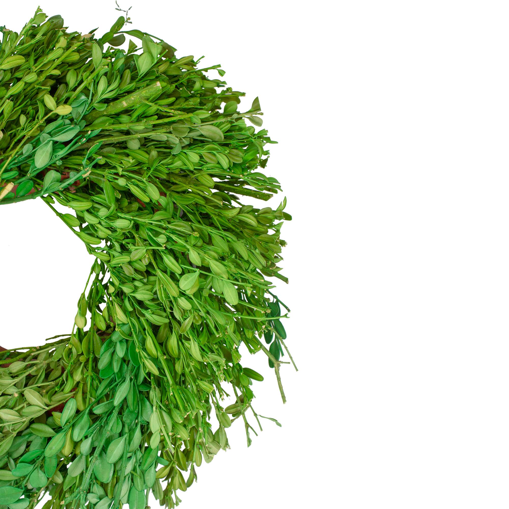 11&#x22; Green Foliage Wreath