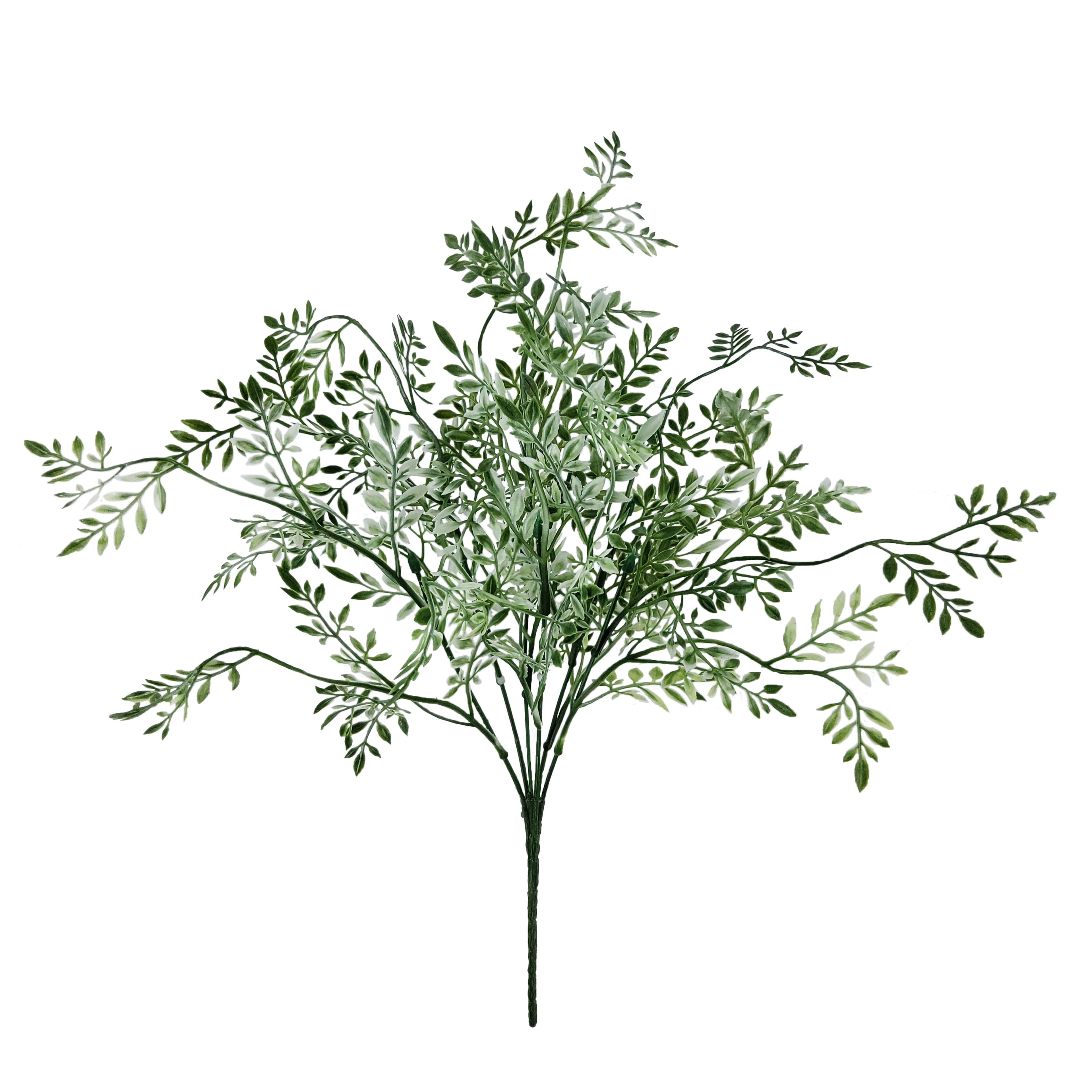 17" Fiscus Bush by Ashland®
