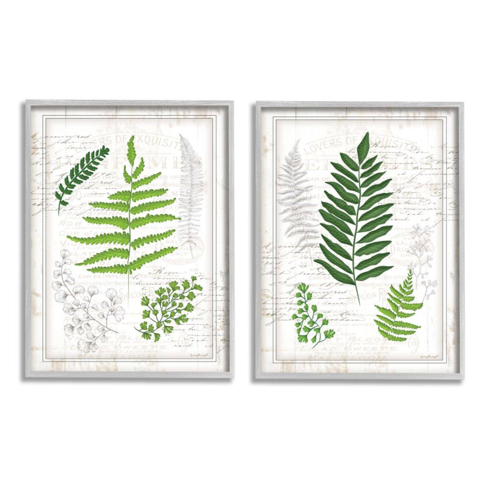 Stupell Industries Antique Fern Study with Script Forest Greenery Framed Wall Art Set