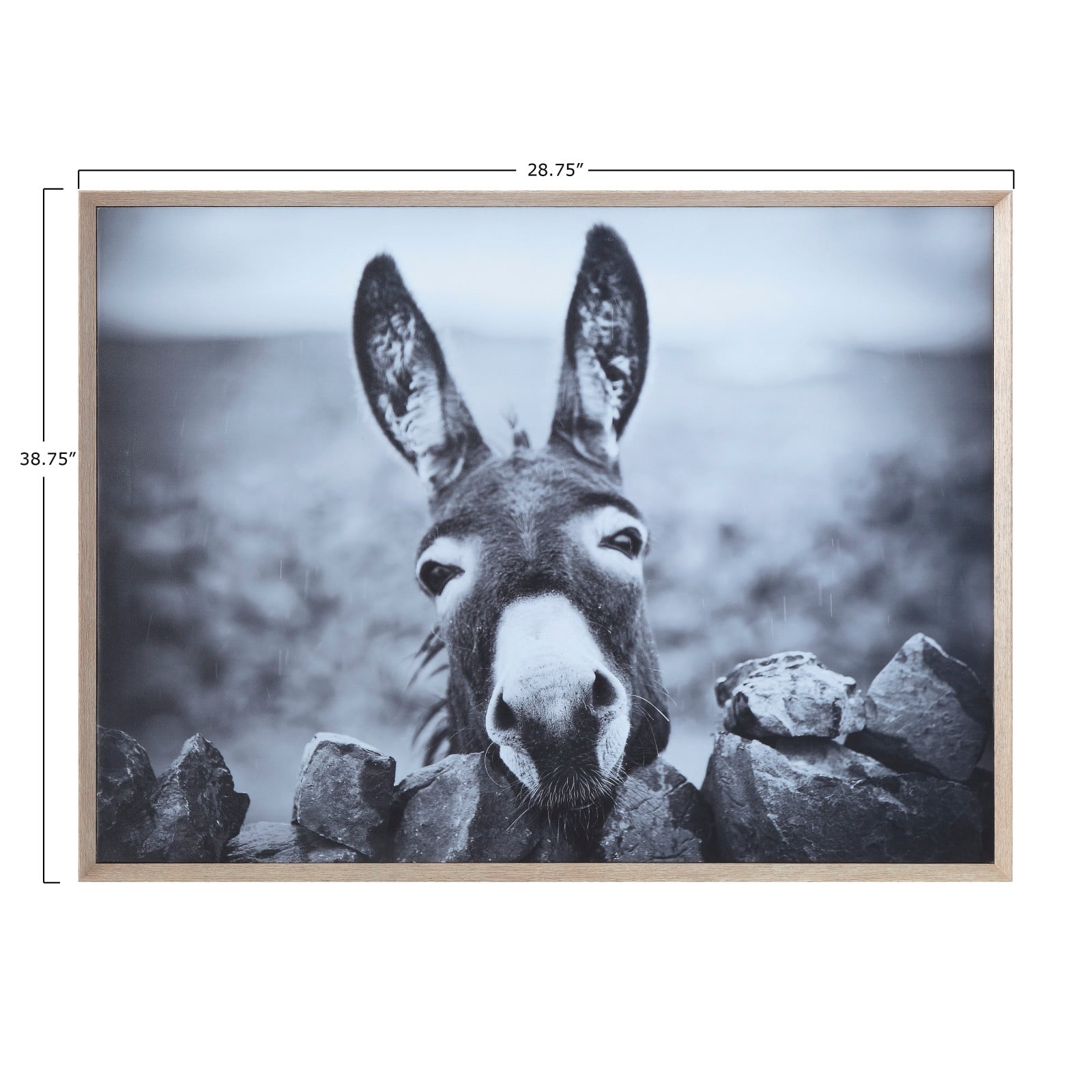 Hello Honey&#xAE; Black &#x26; White Donkey on Canvas Wood Framed Wall D&#xE9;cor
